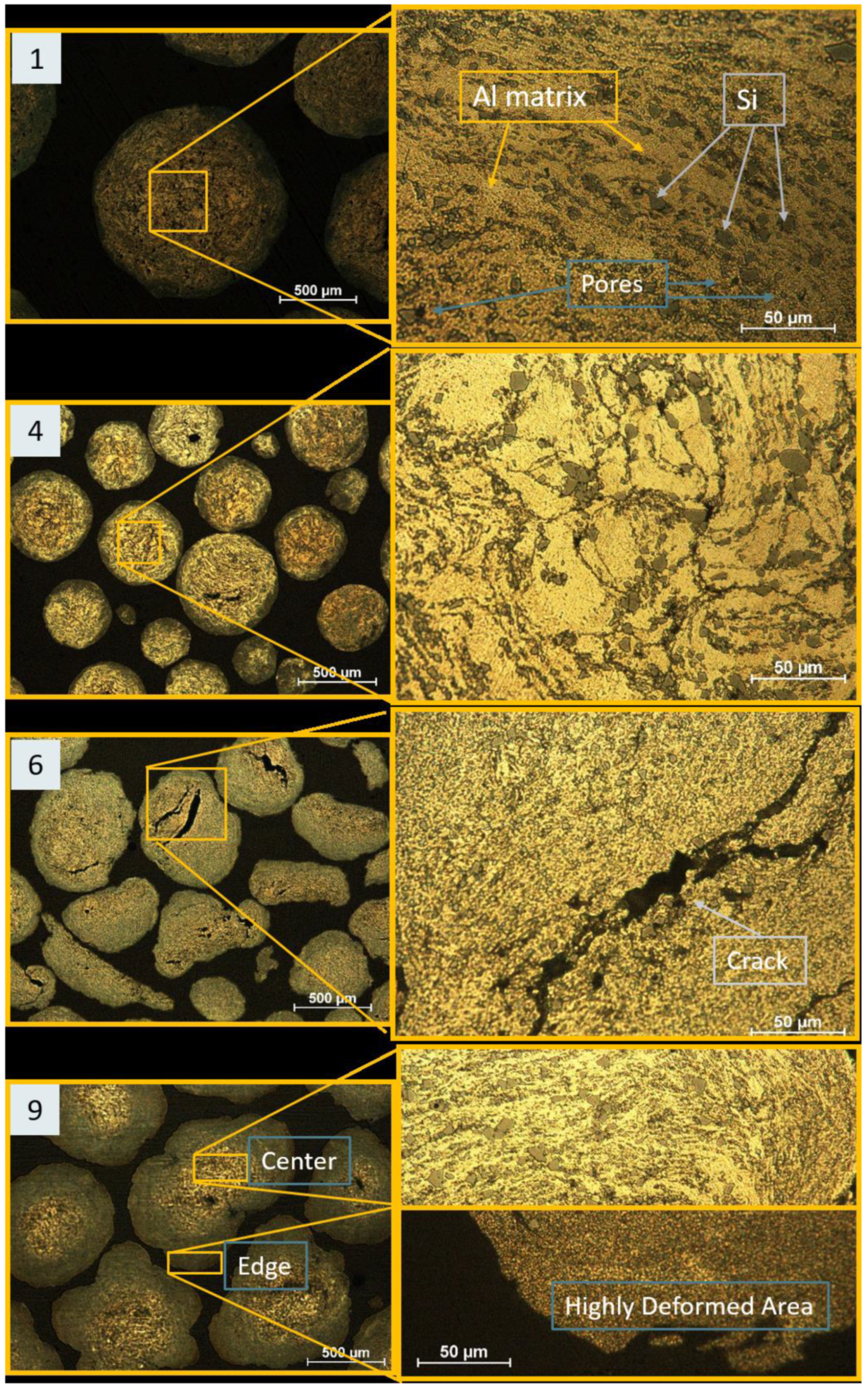 Coatings 11 01016 g004 550