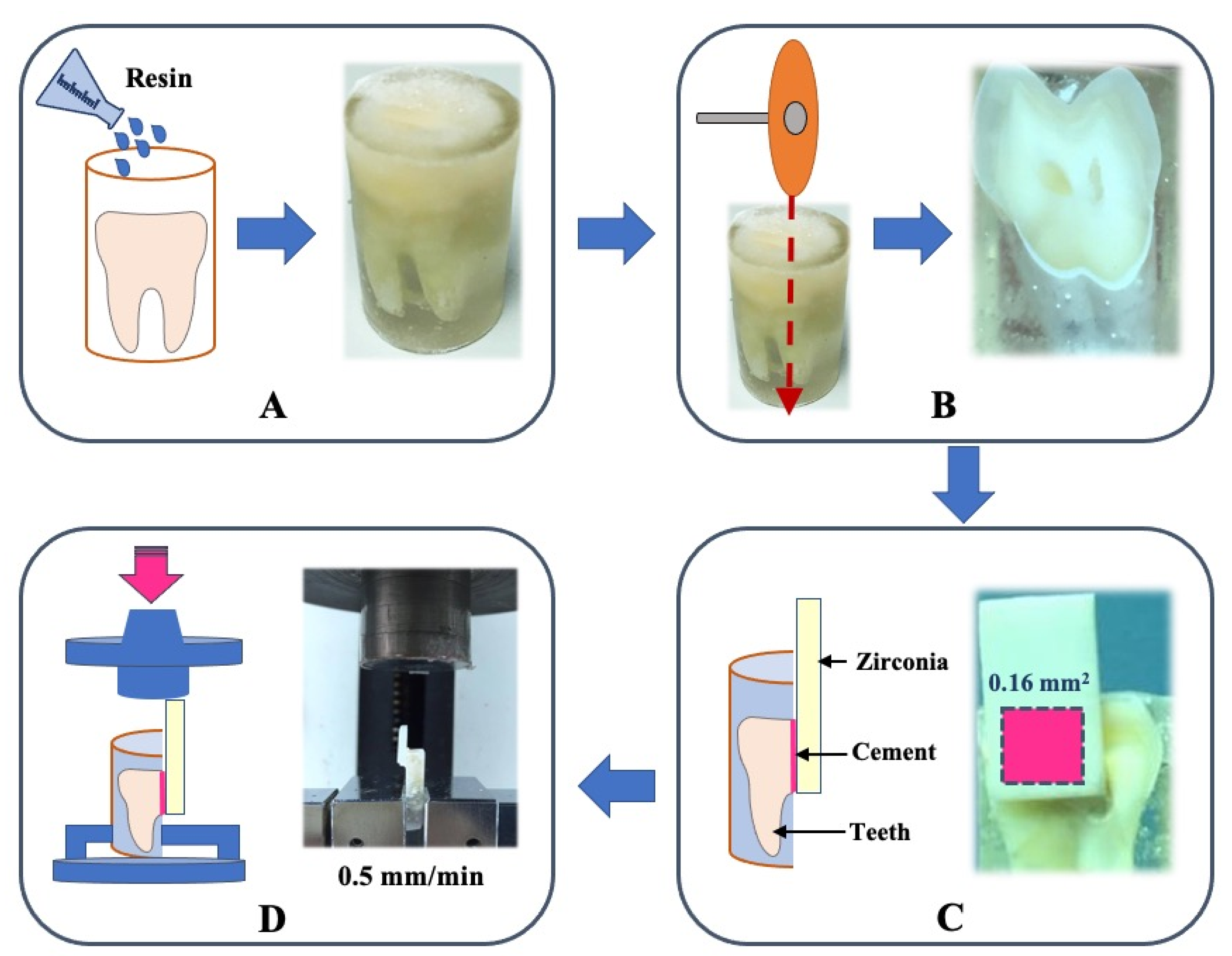 Coatings 11 01017 g002