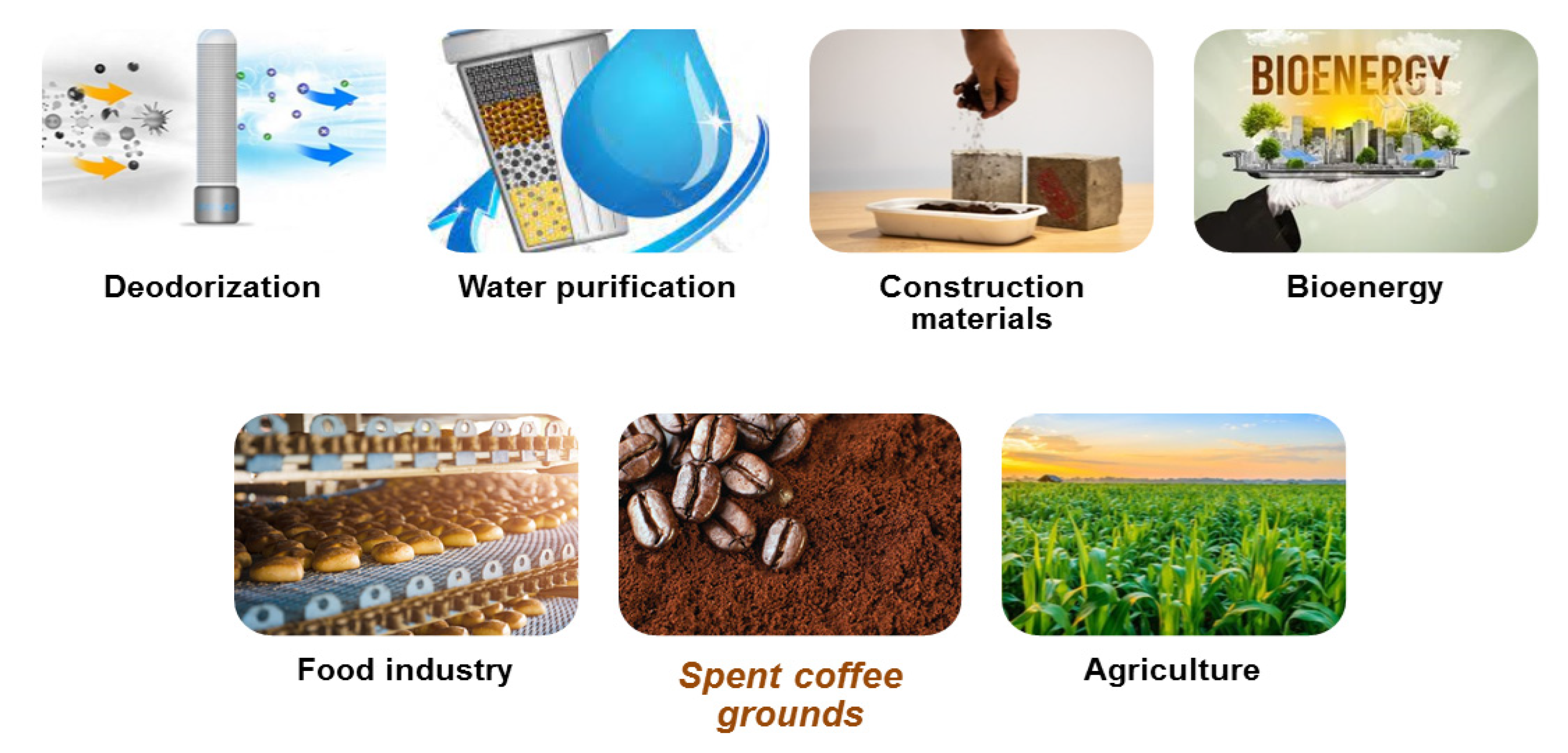 Coatings 11 01021 g003