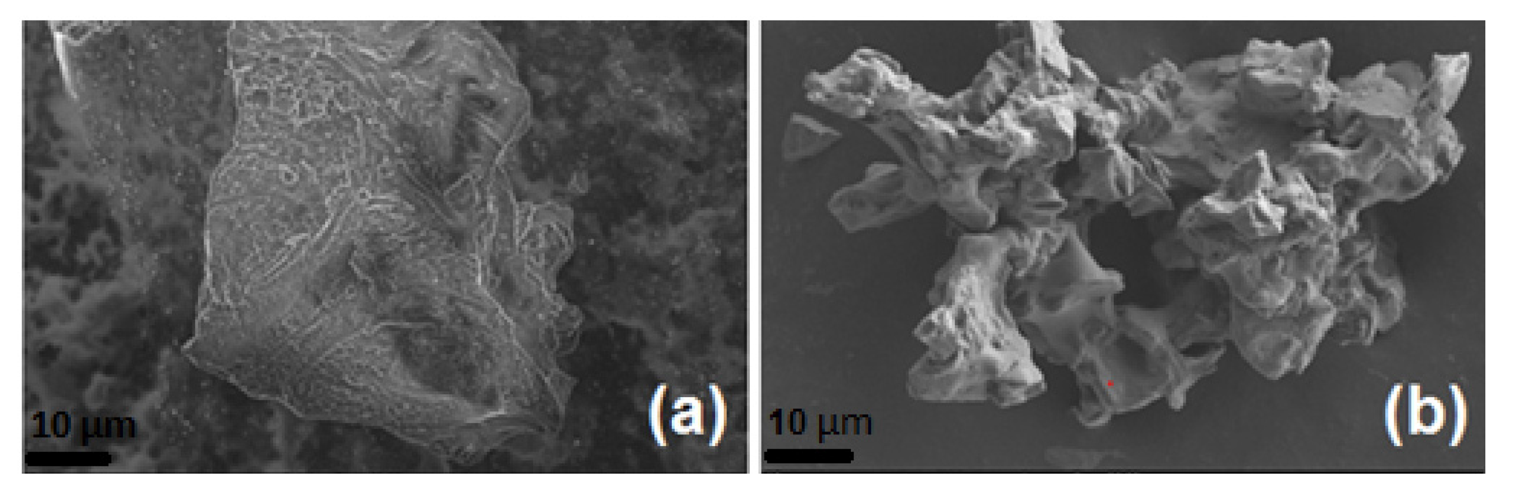 Coatings 11 01021 g004