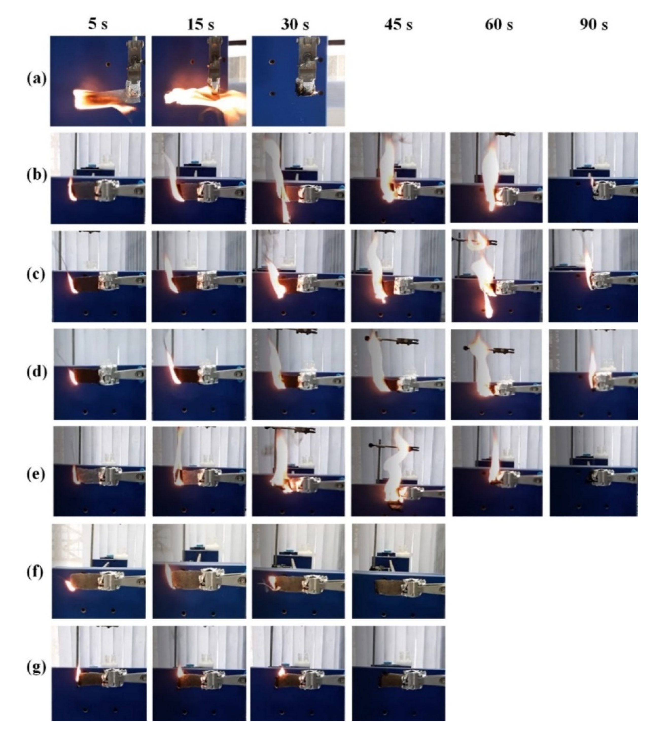 Coatings 11 01021 g010