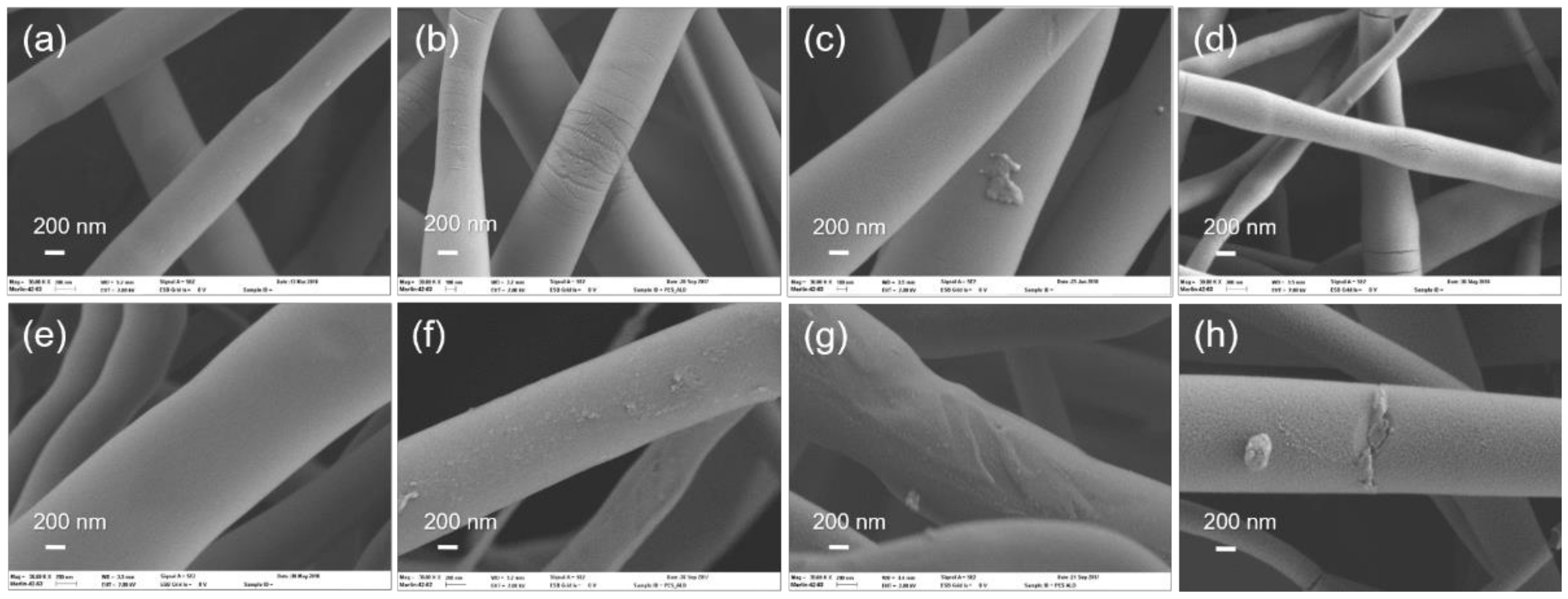 Coatings 11 01028 g004 550