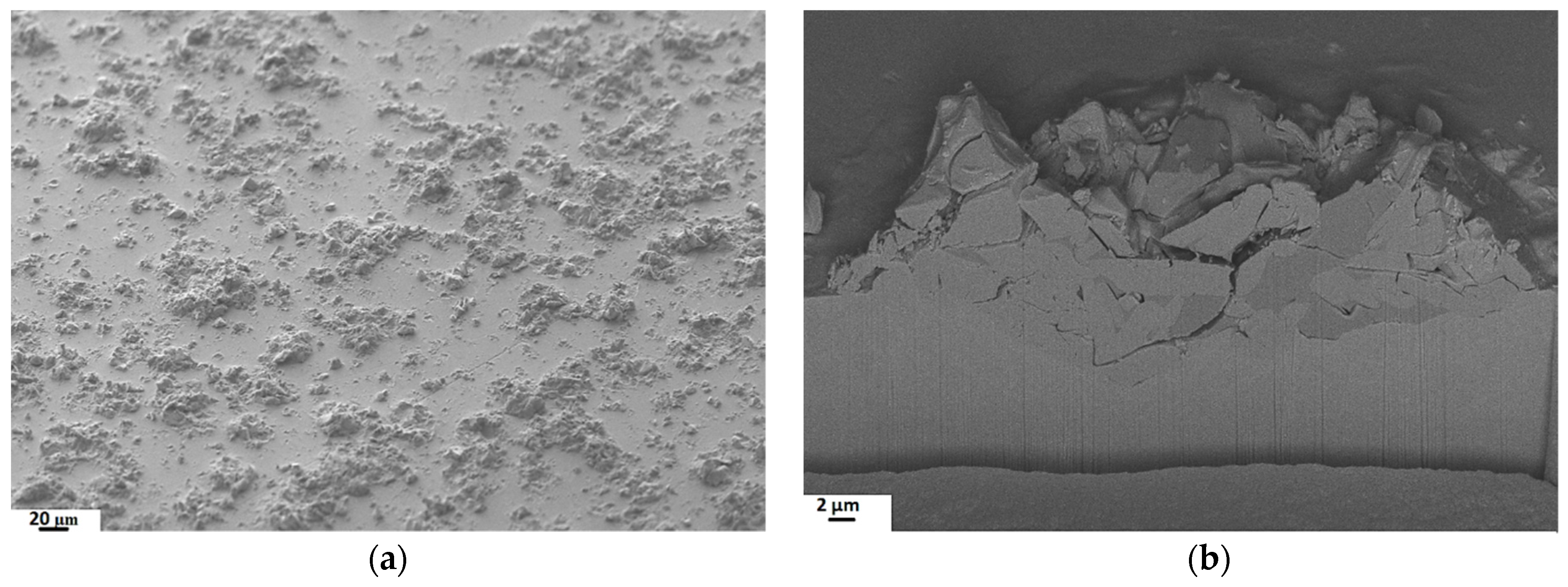 Coatings 11 01038 g007