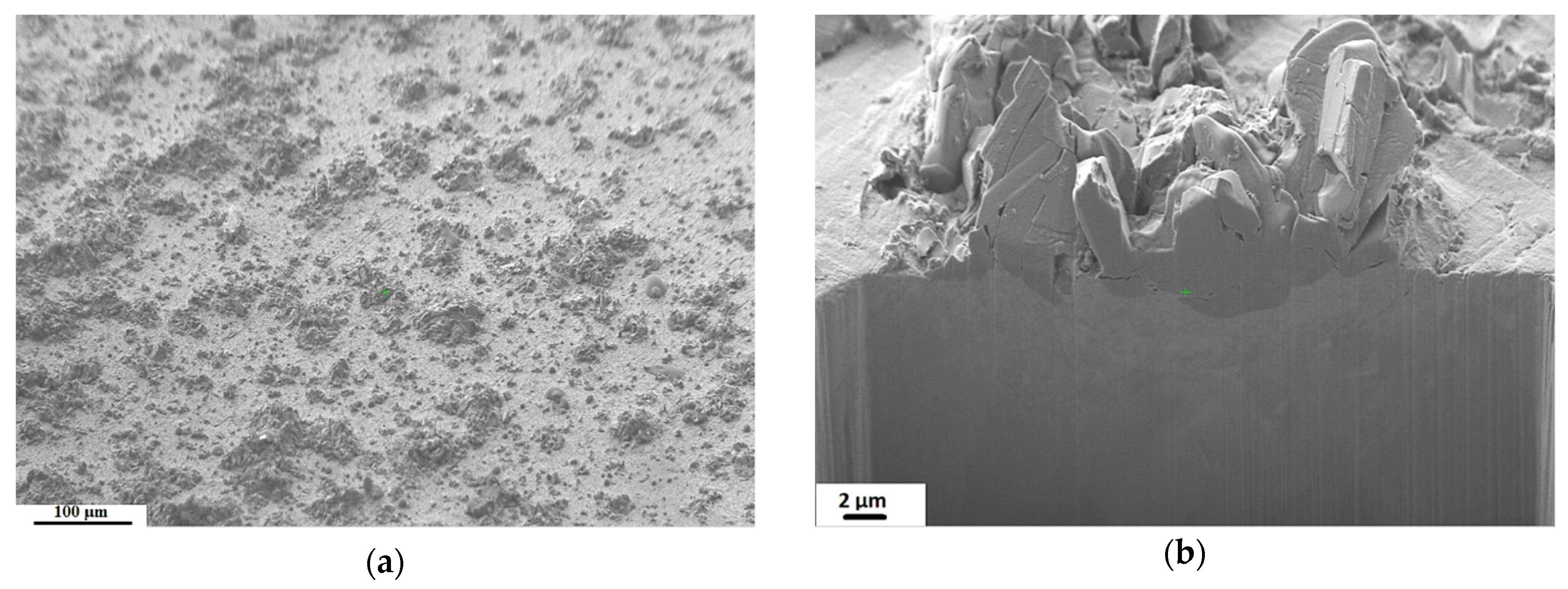 Coatings 11 01038 g008