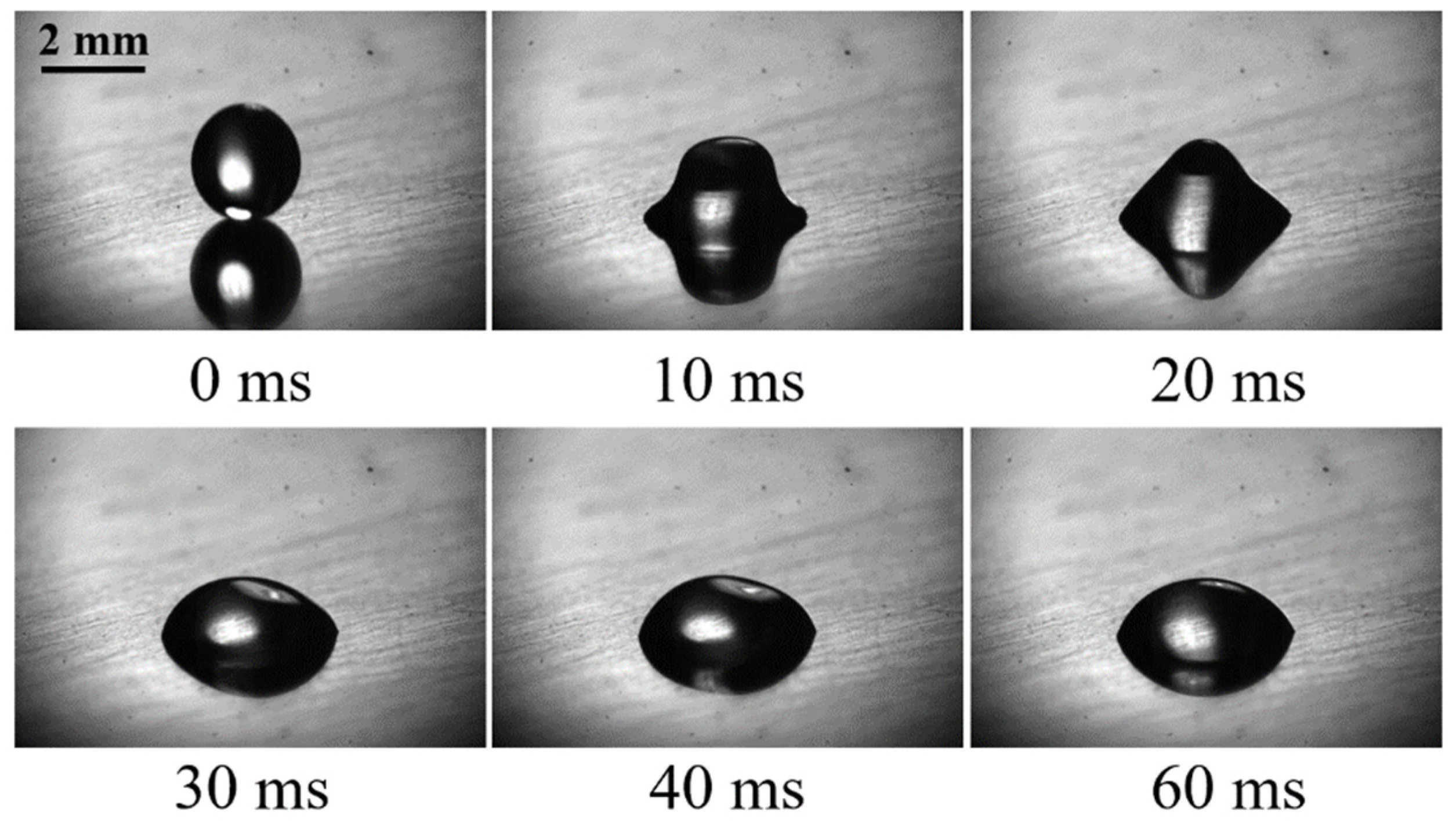 Coatings 11 01043 g004 550