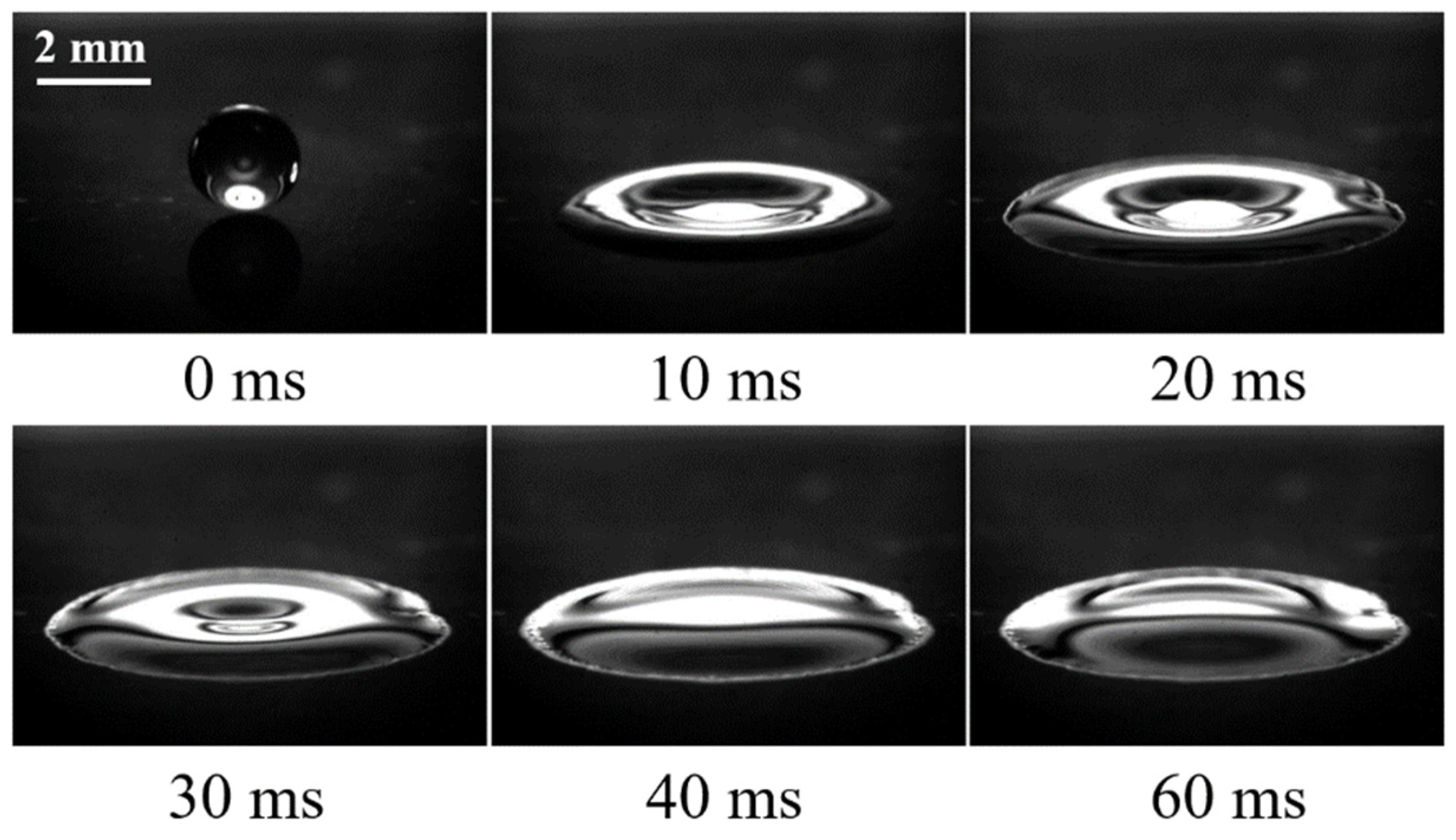 Coatings 11 01043 g006 550