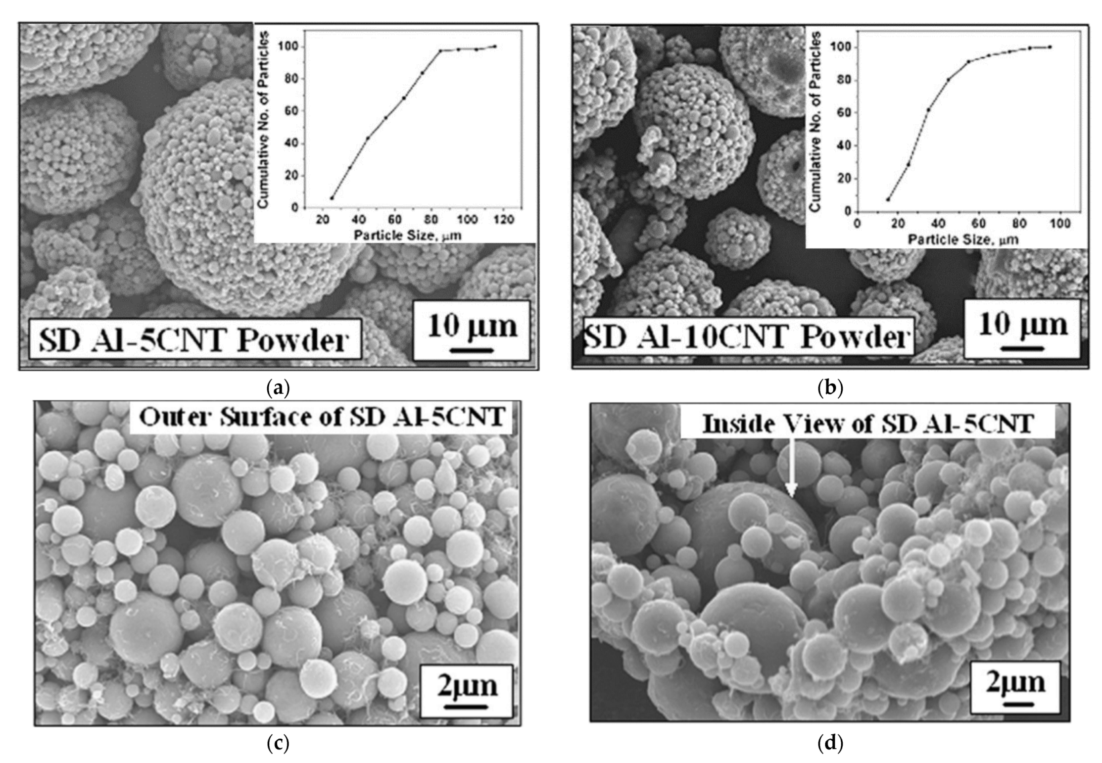 Coatings 11 01044 g011a Coatings 11 01044 g011a