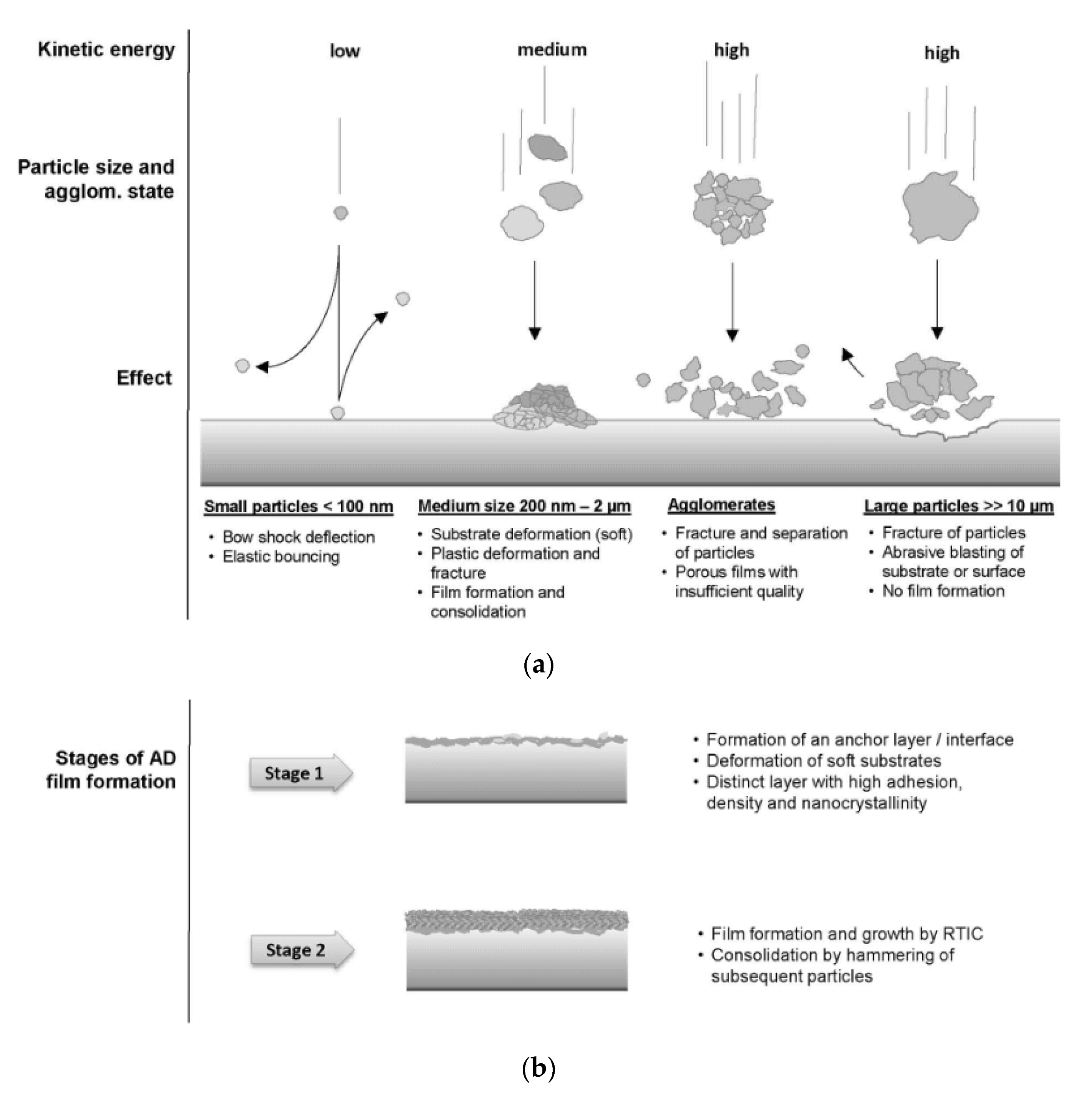 Coatings 11 01044 g021 Coatings 11 01044 g021
