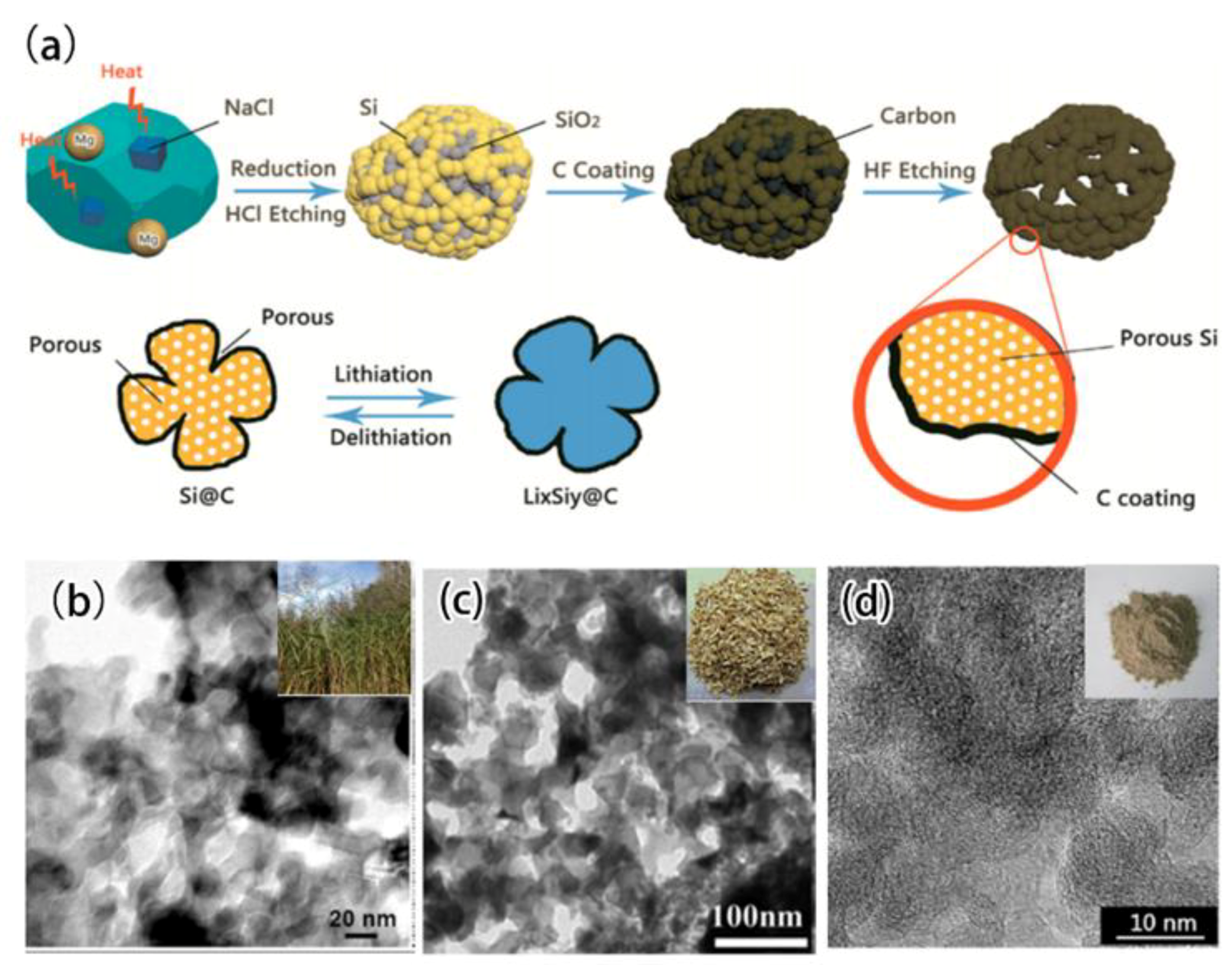 Coatings 11 01047 g010