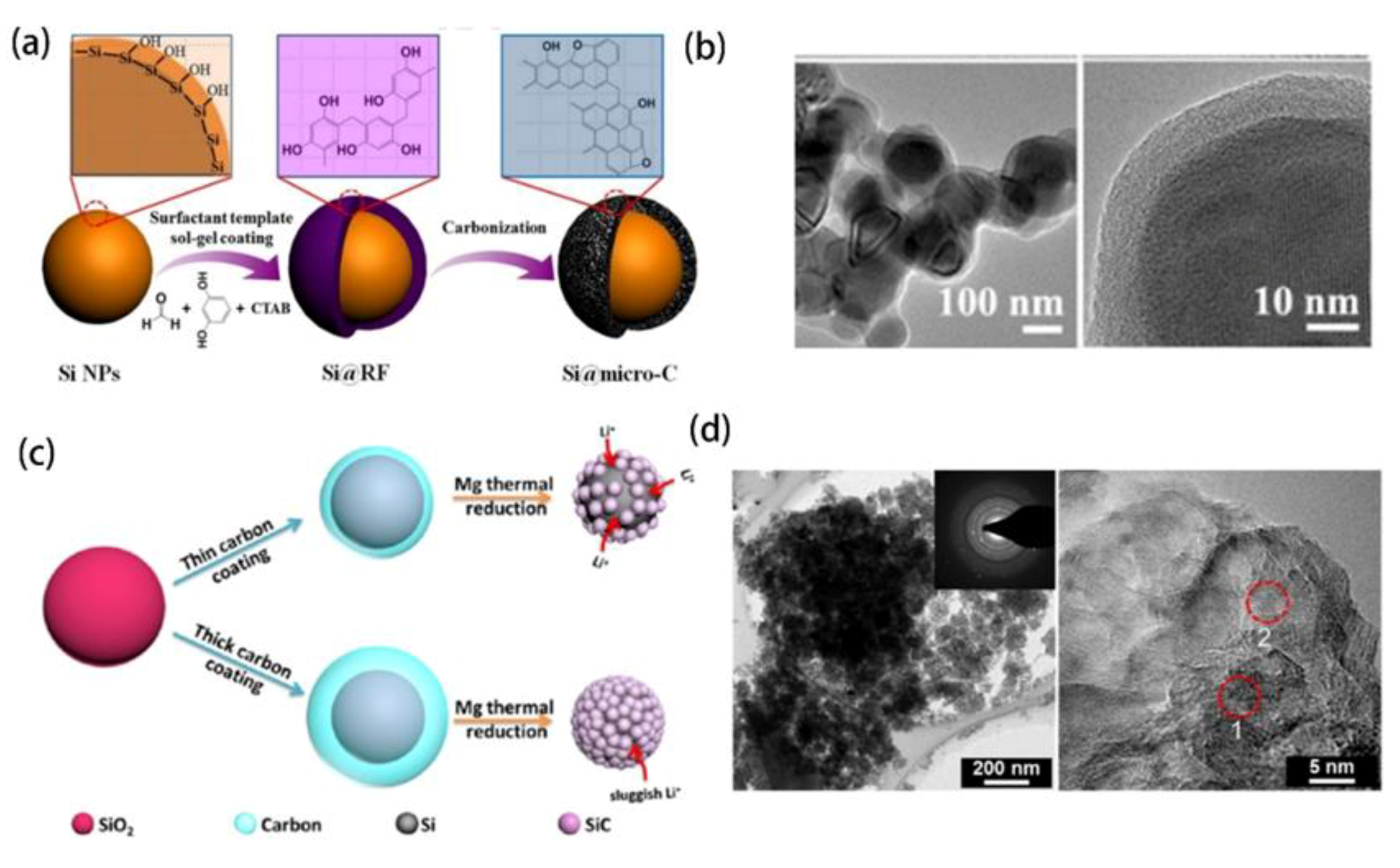Coatings 11 01047 g013