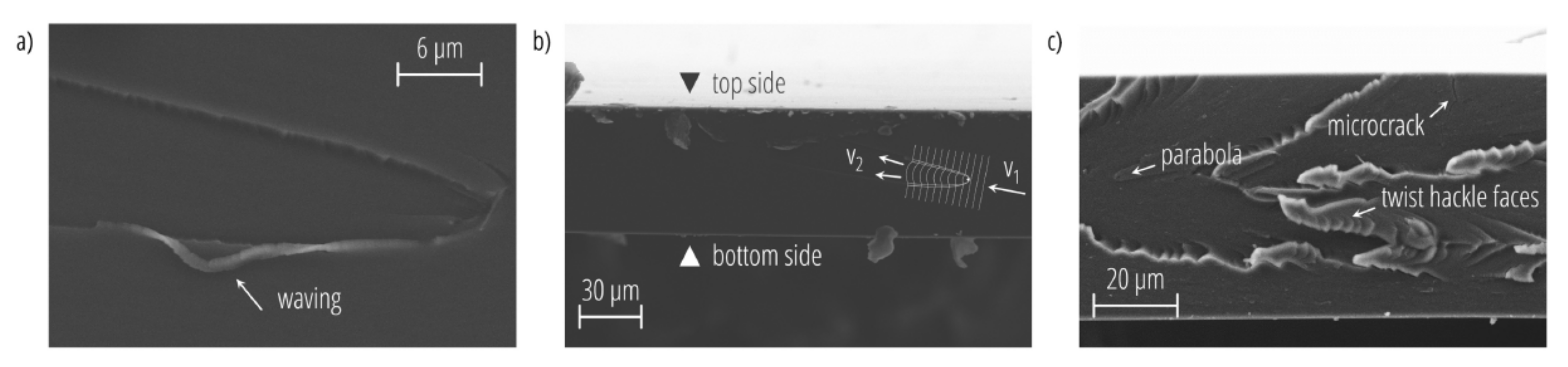 Coatings 11 01049 g018