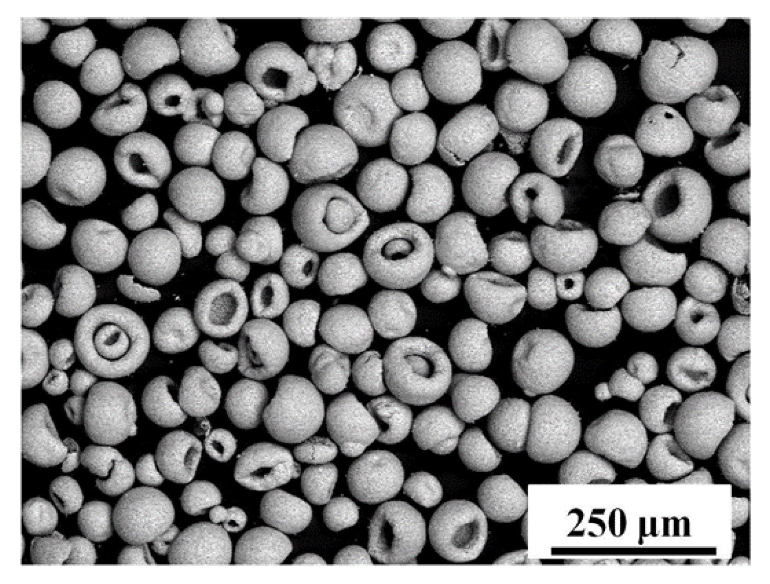 Coatings 11 01051 g002 550