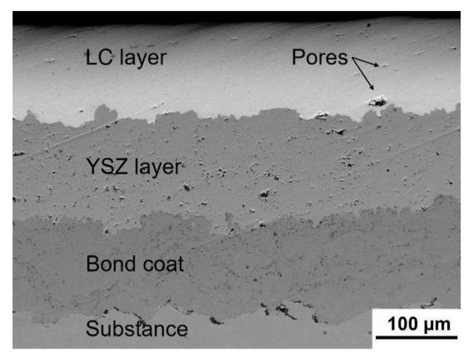 Coatings 11 01051 g003 550
