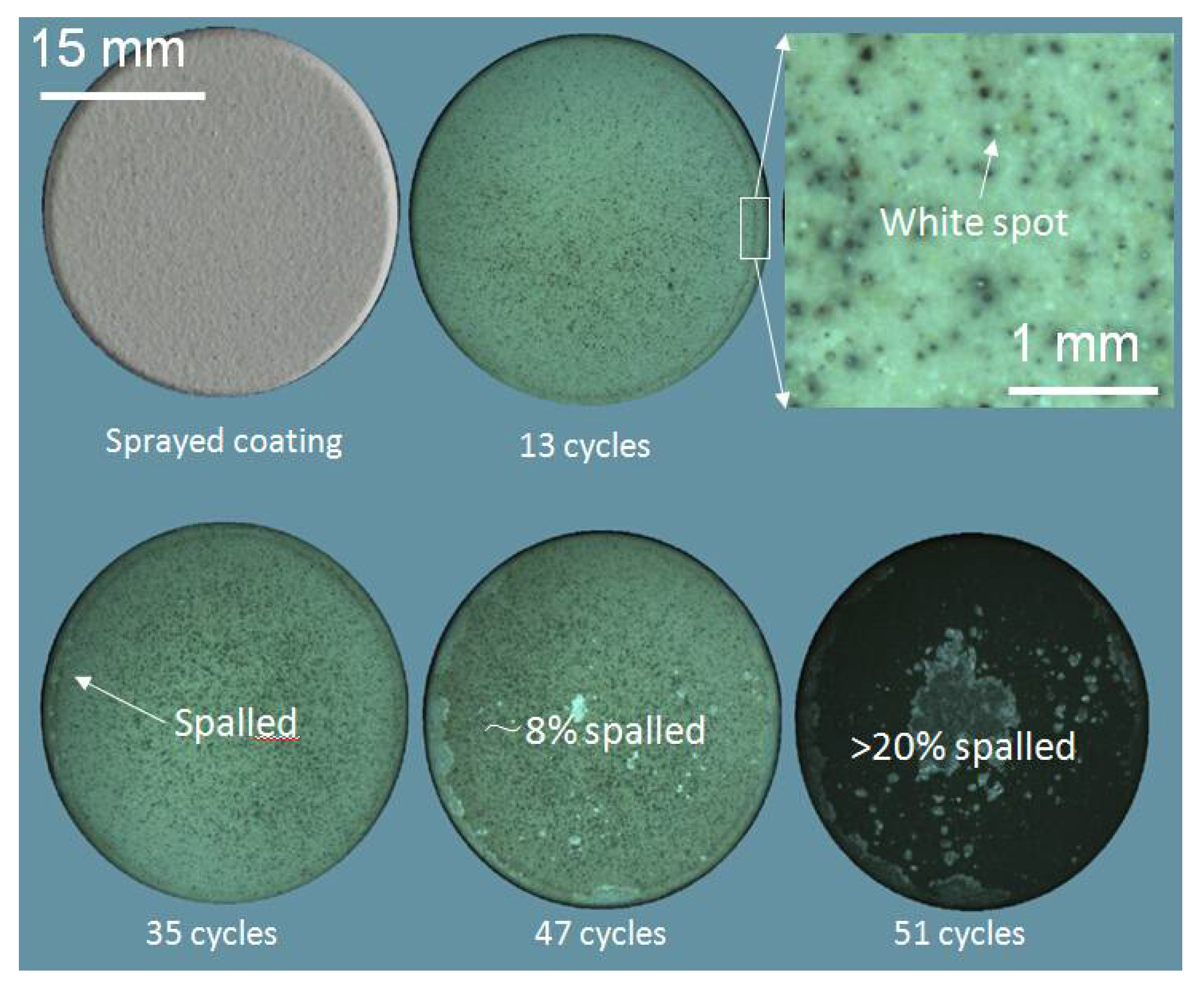 Coatings 11 01051 g004 550