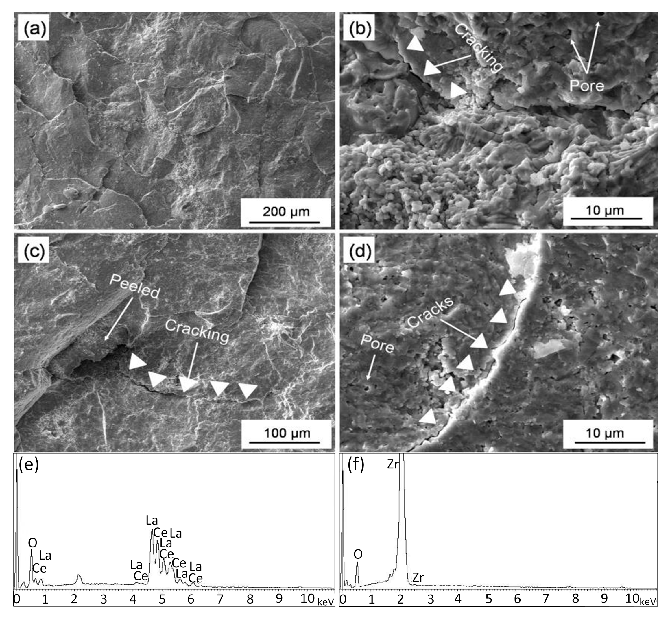 Coatings 11 01051 g006 550