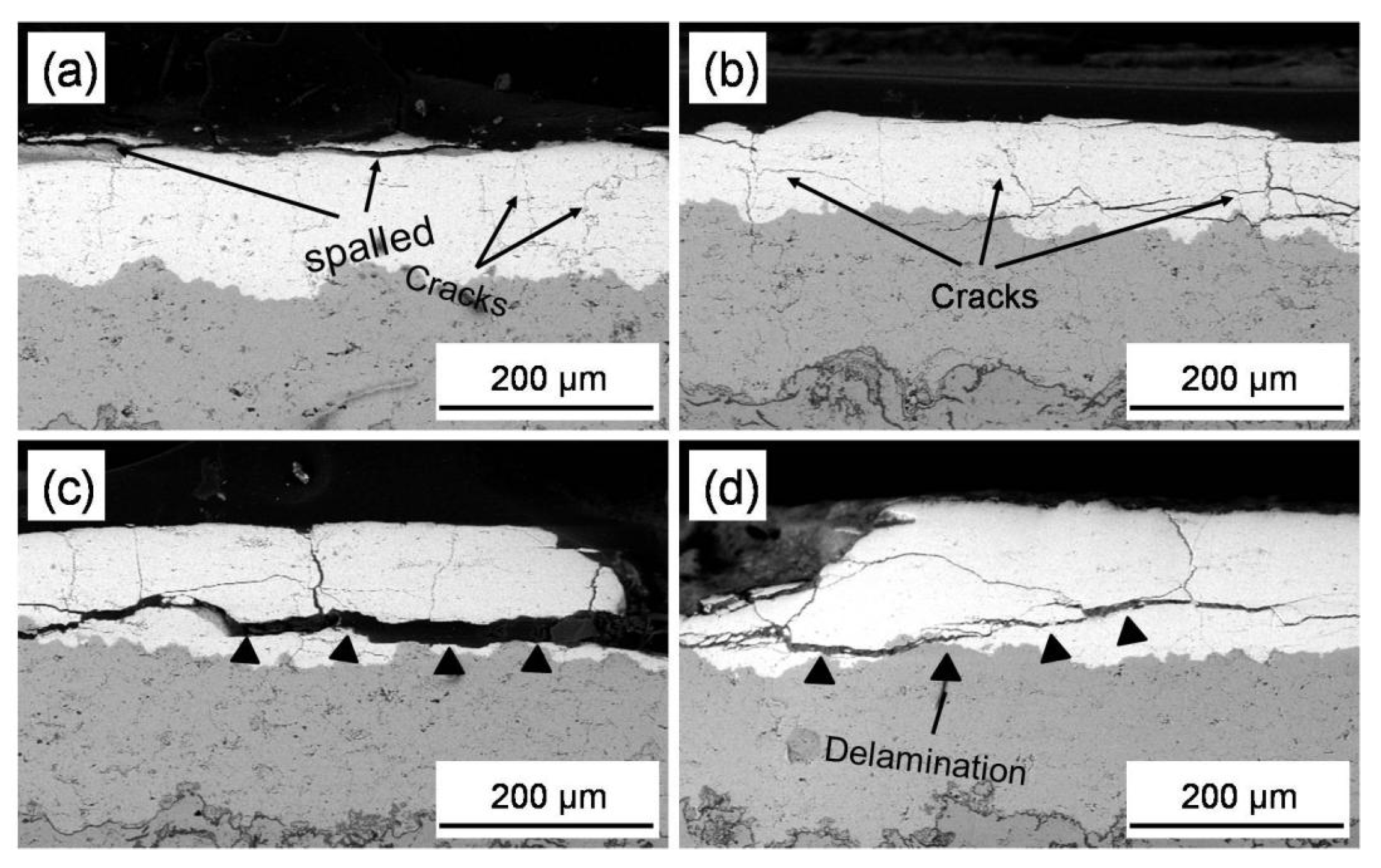 Coatings 11 01051 g007 550