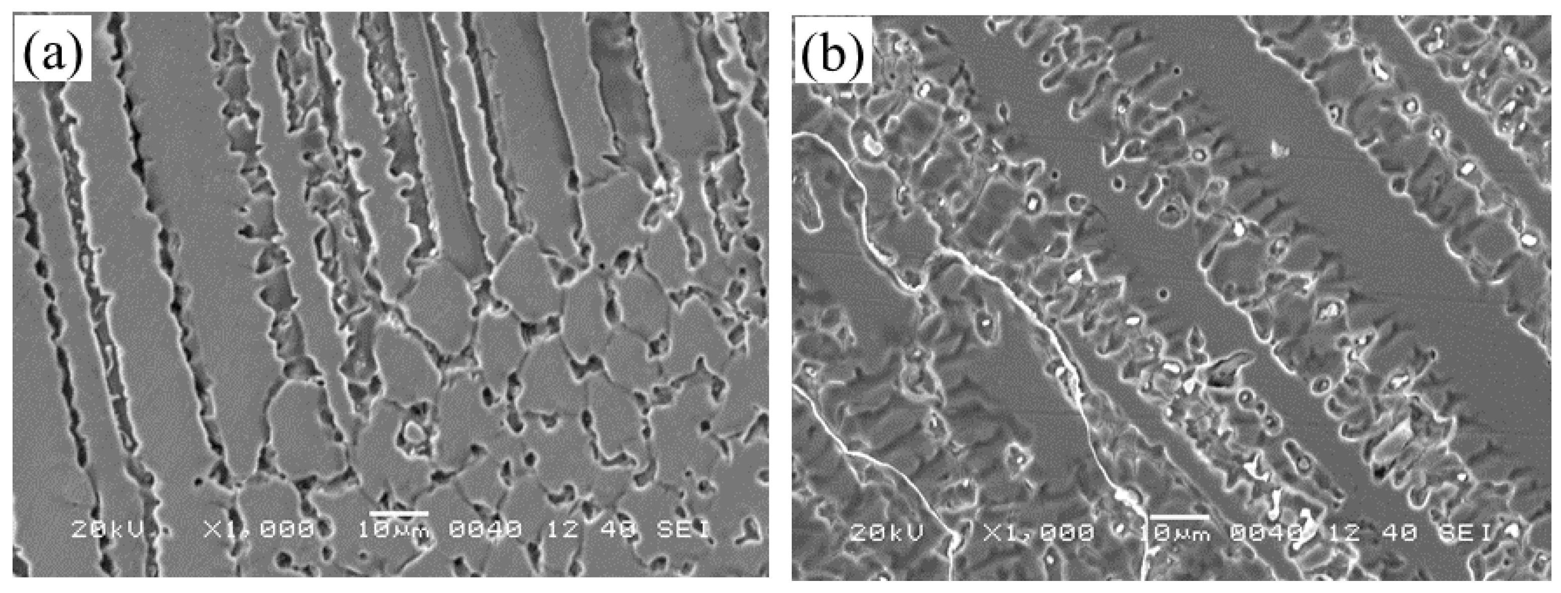 Coatings 11 01053 g012