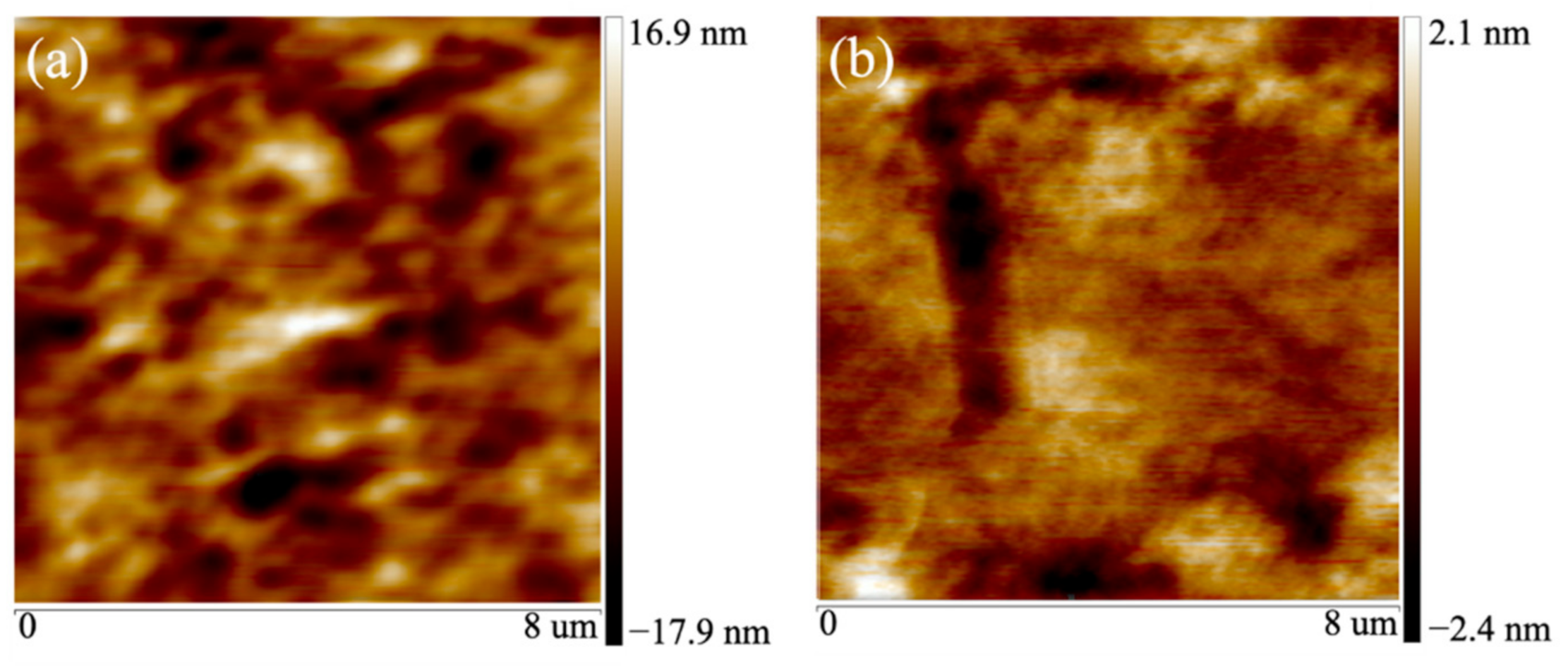 Coatings 11 01060 g005 550