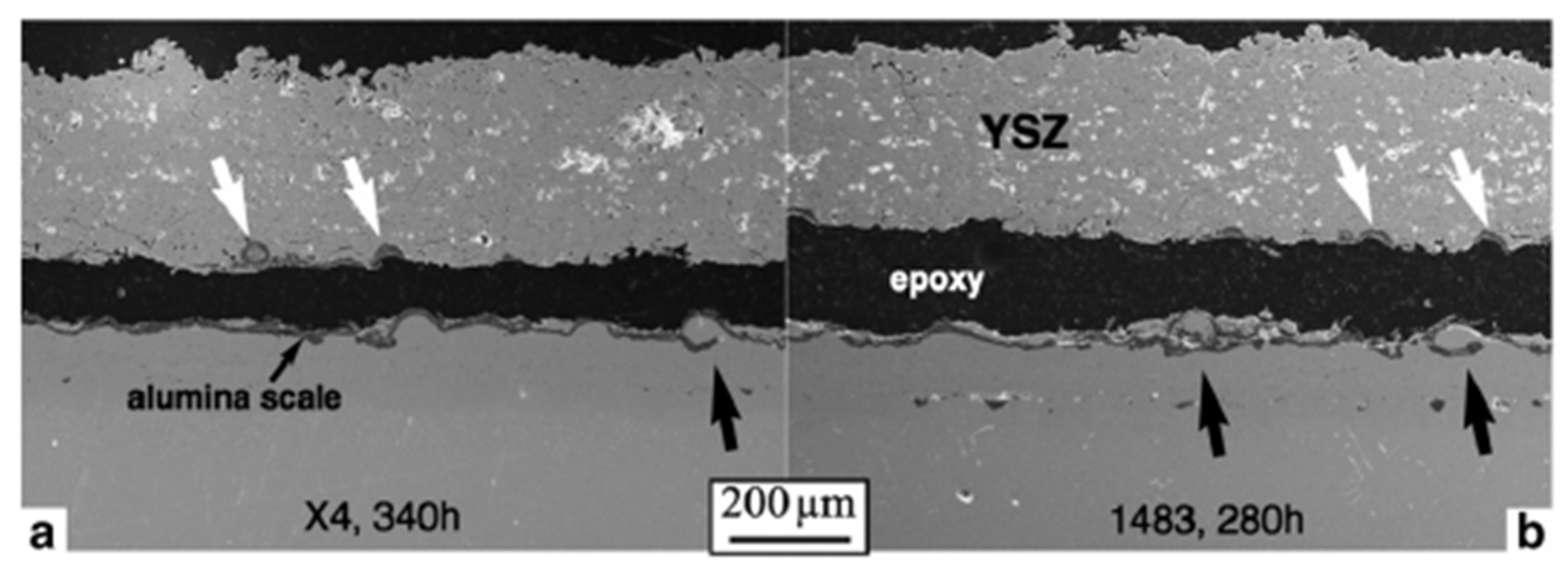 Coatings 11 01061 g005