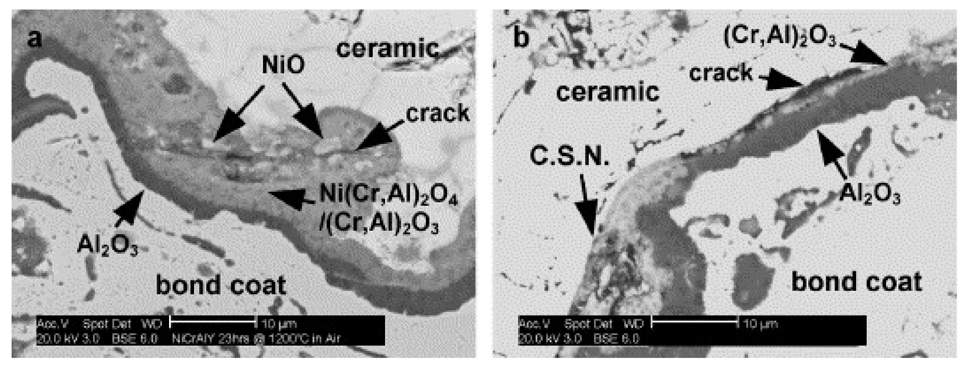 Coatings 11 01061 g006