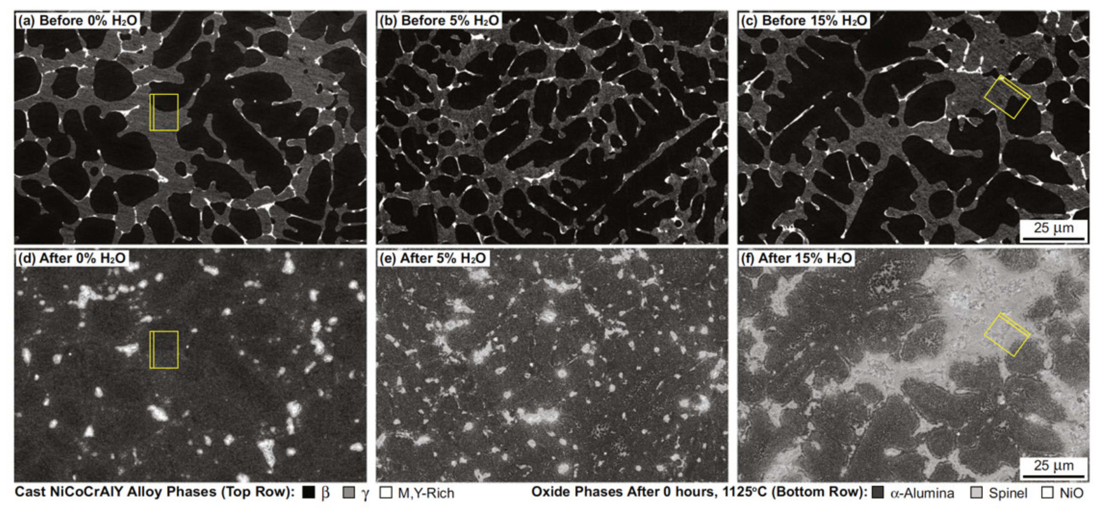 Coatings 11 01061 g007