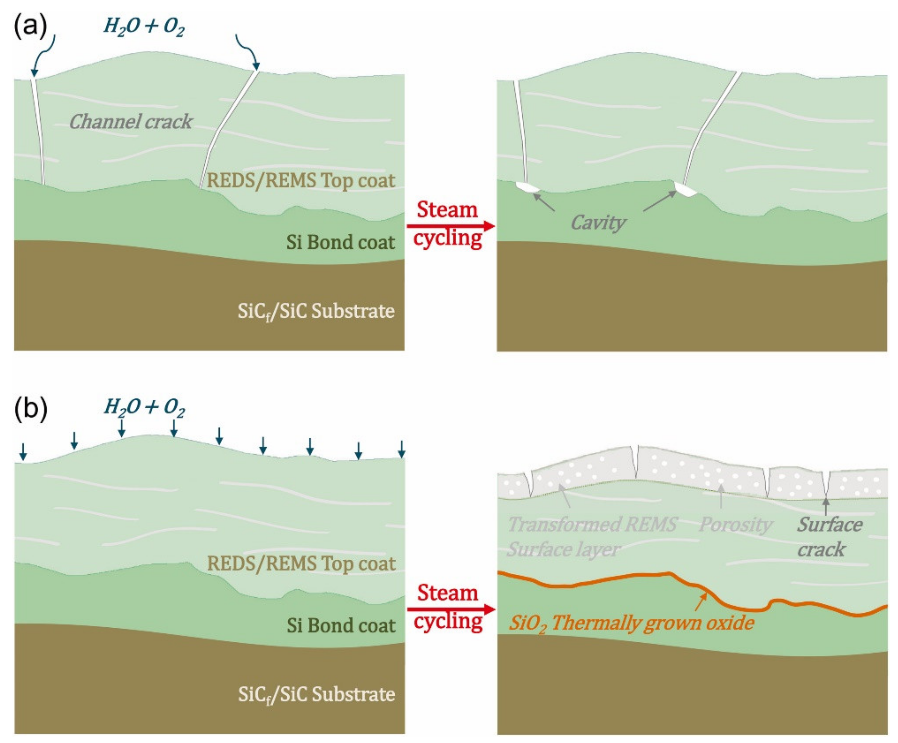 Coatings 11 01061 g009
