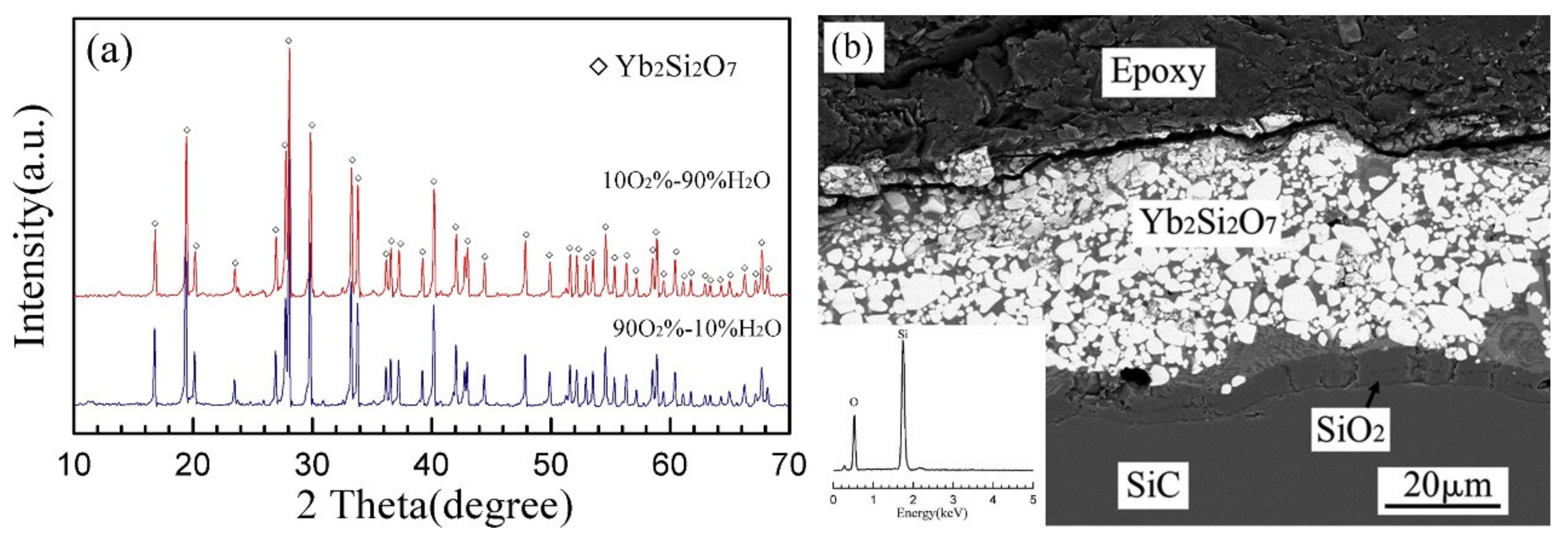 Coatings 11 01061 g012