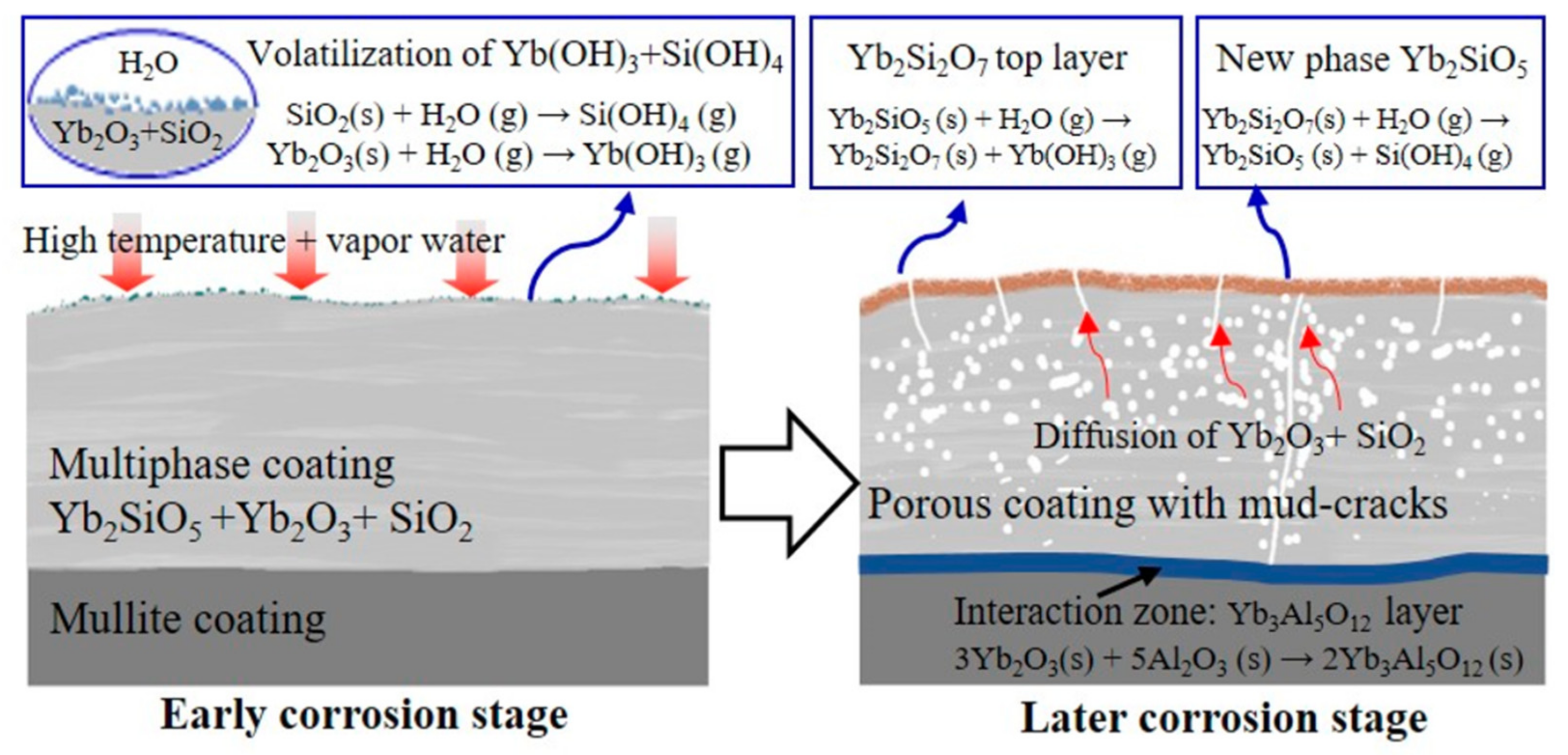 Coatings 11 01061 g013