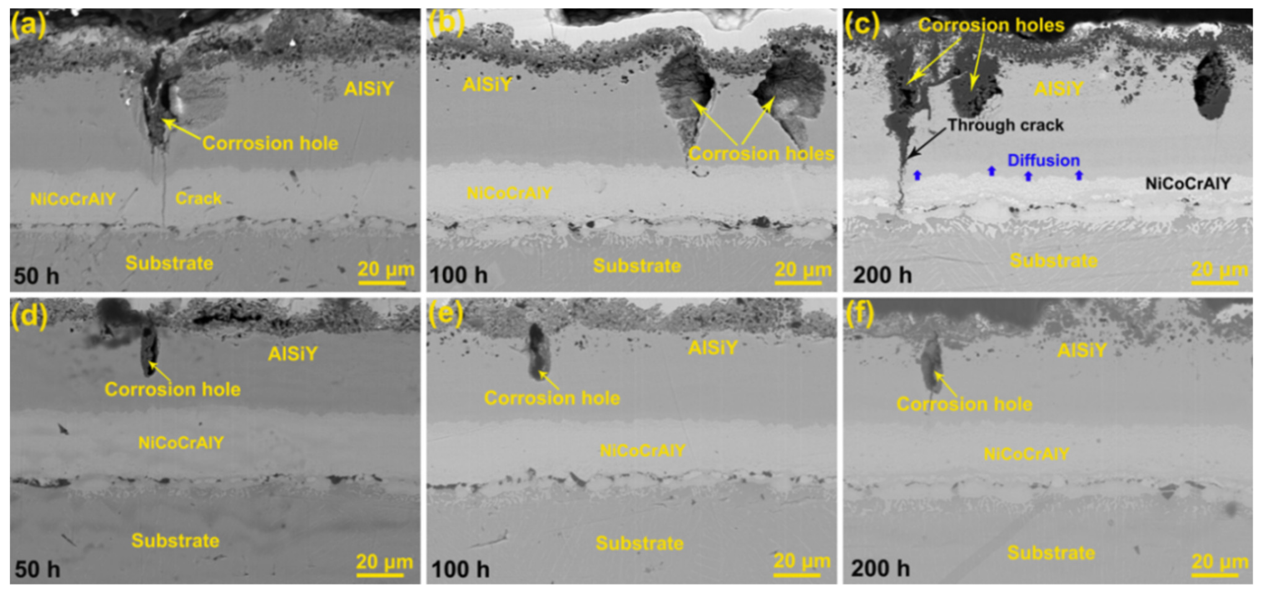 Coatings 11 01062 g005 550