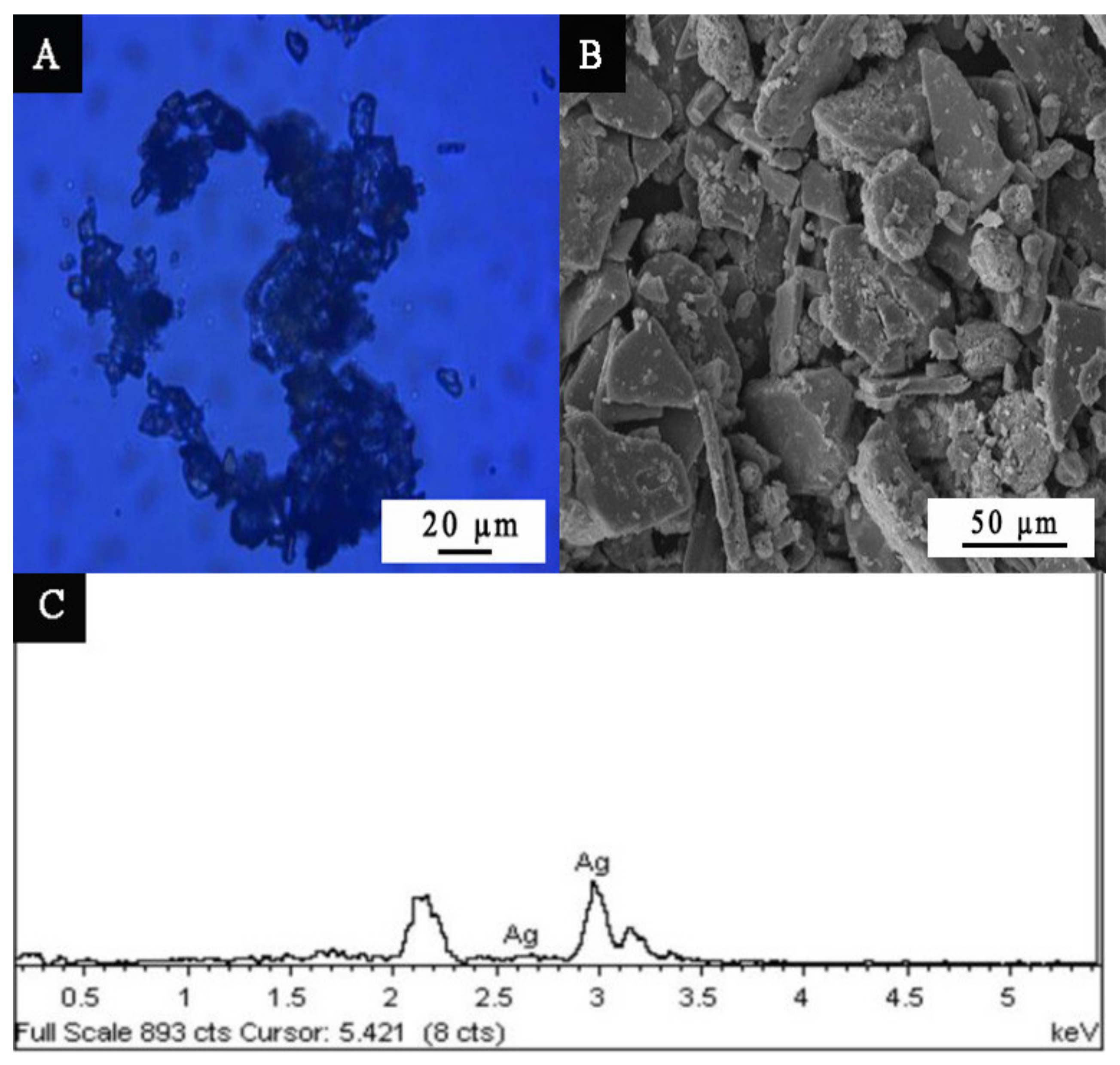 Coatings 11 01066 g001