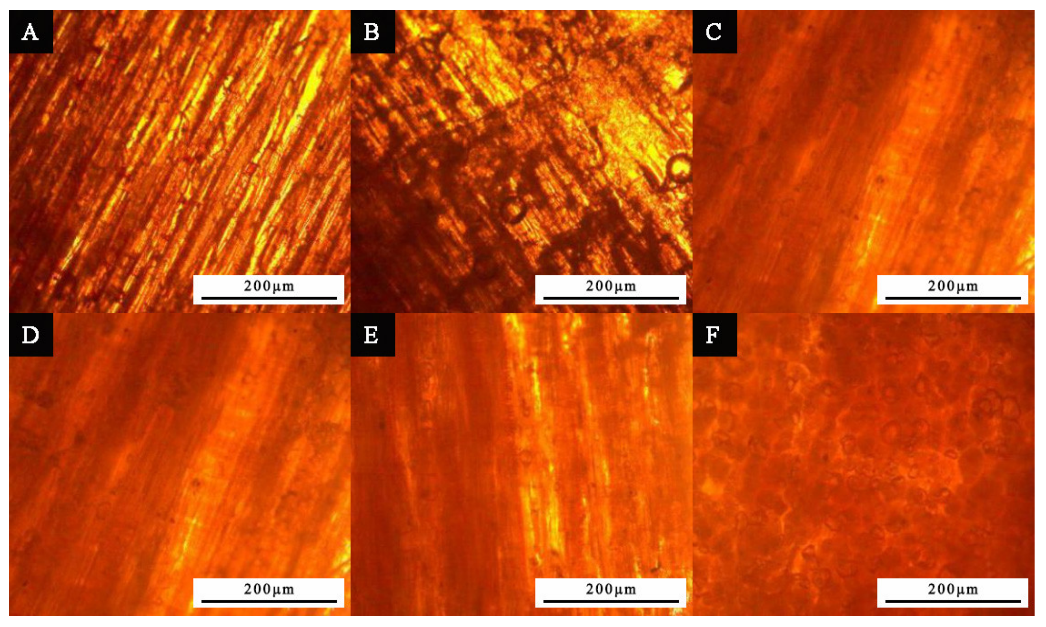 Coatings 11 01066 g003