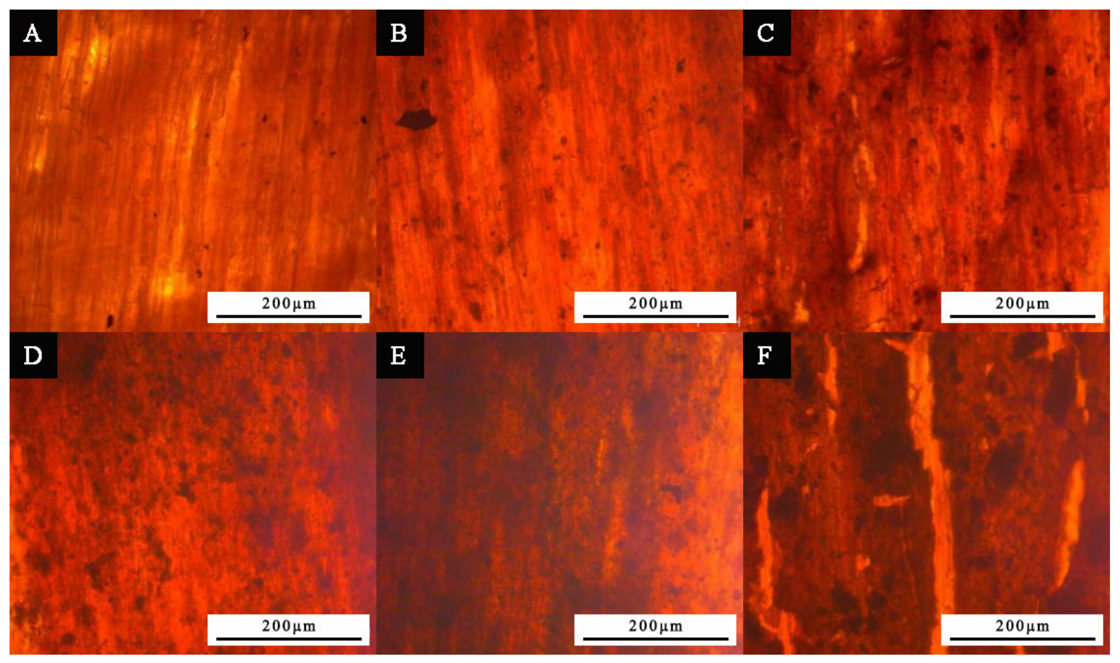 Coatings 11 01066 g004