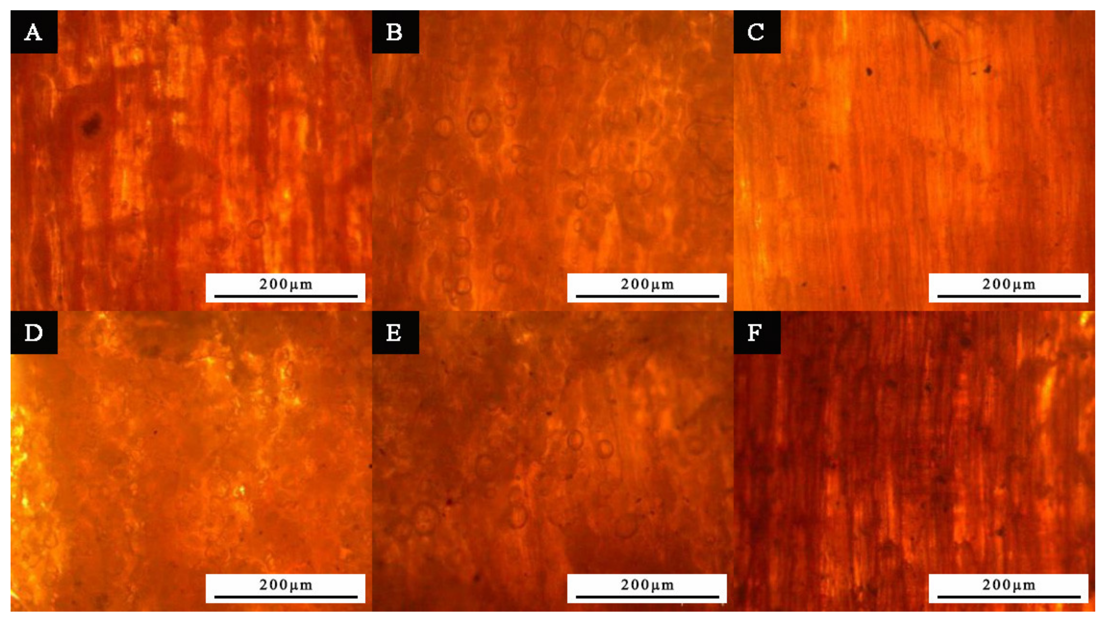 Coatings 11 01066 g005