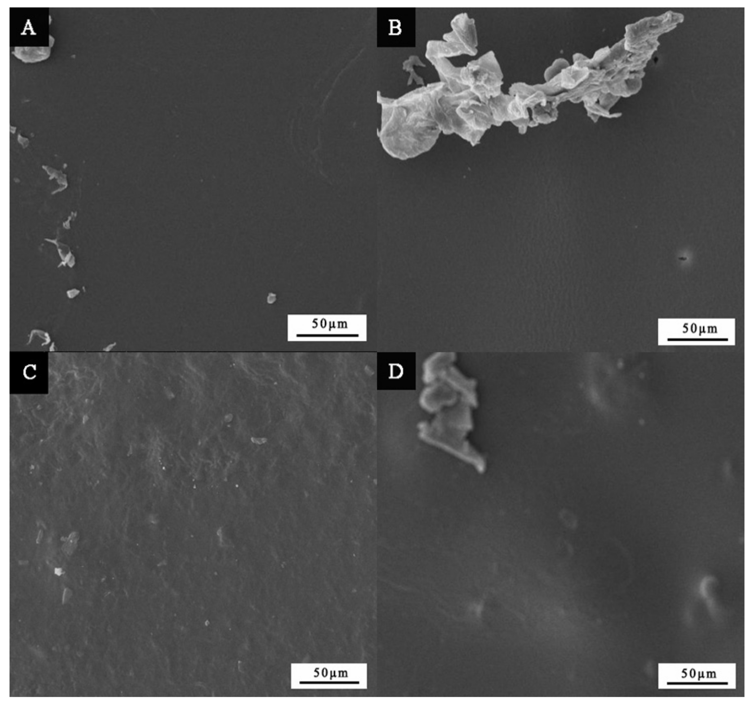 Coatings 11 01066 g006