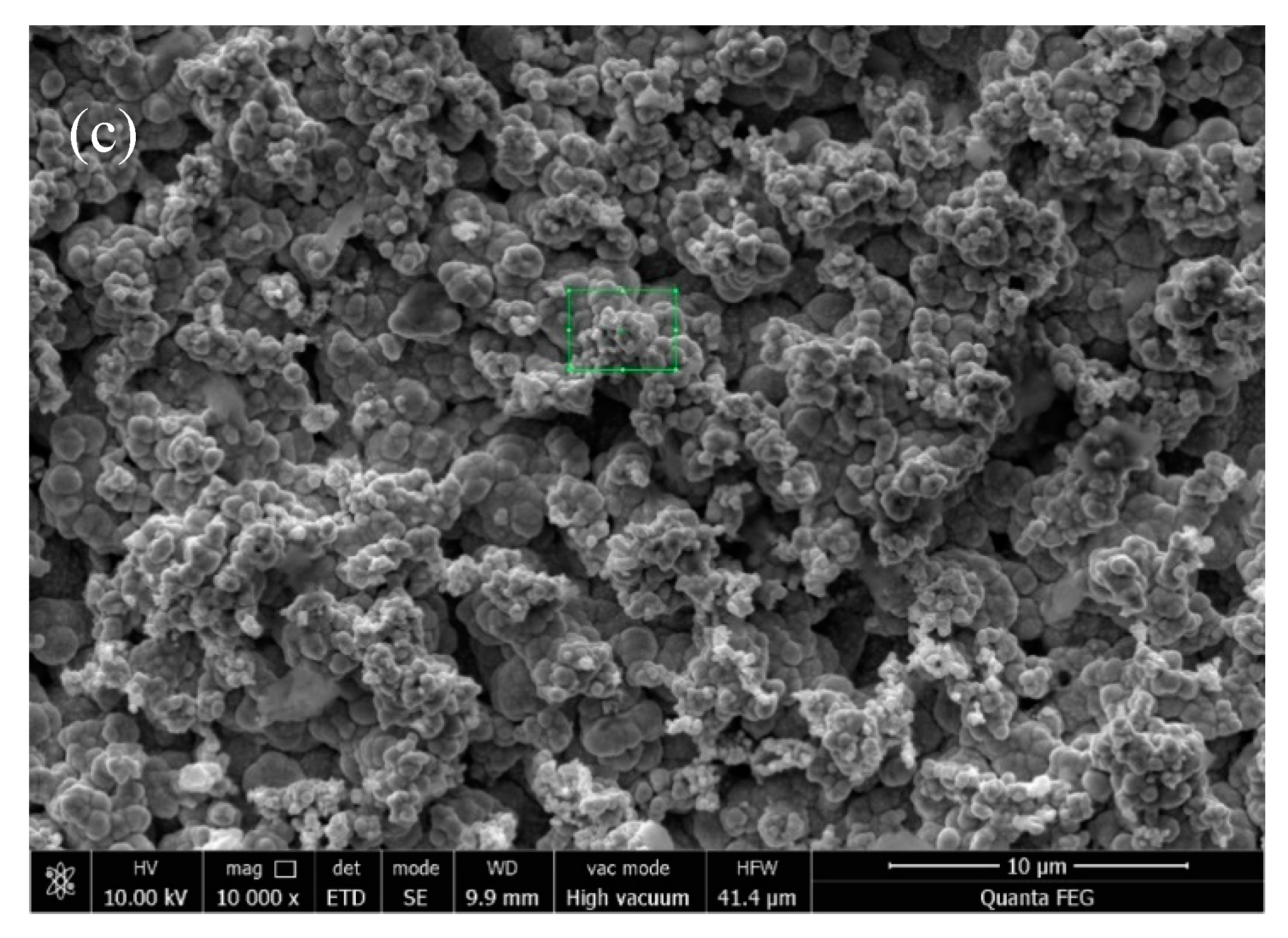 Coatings 11 01068 g005b