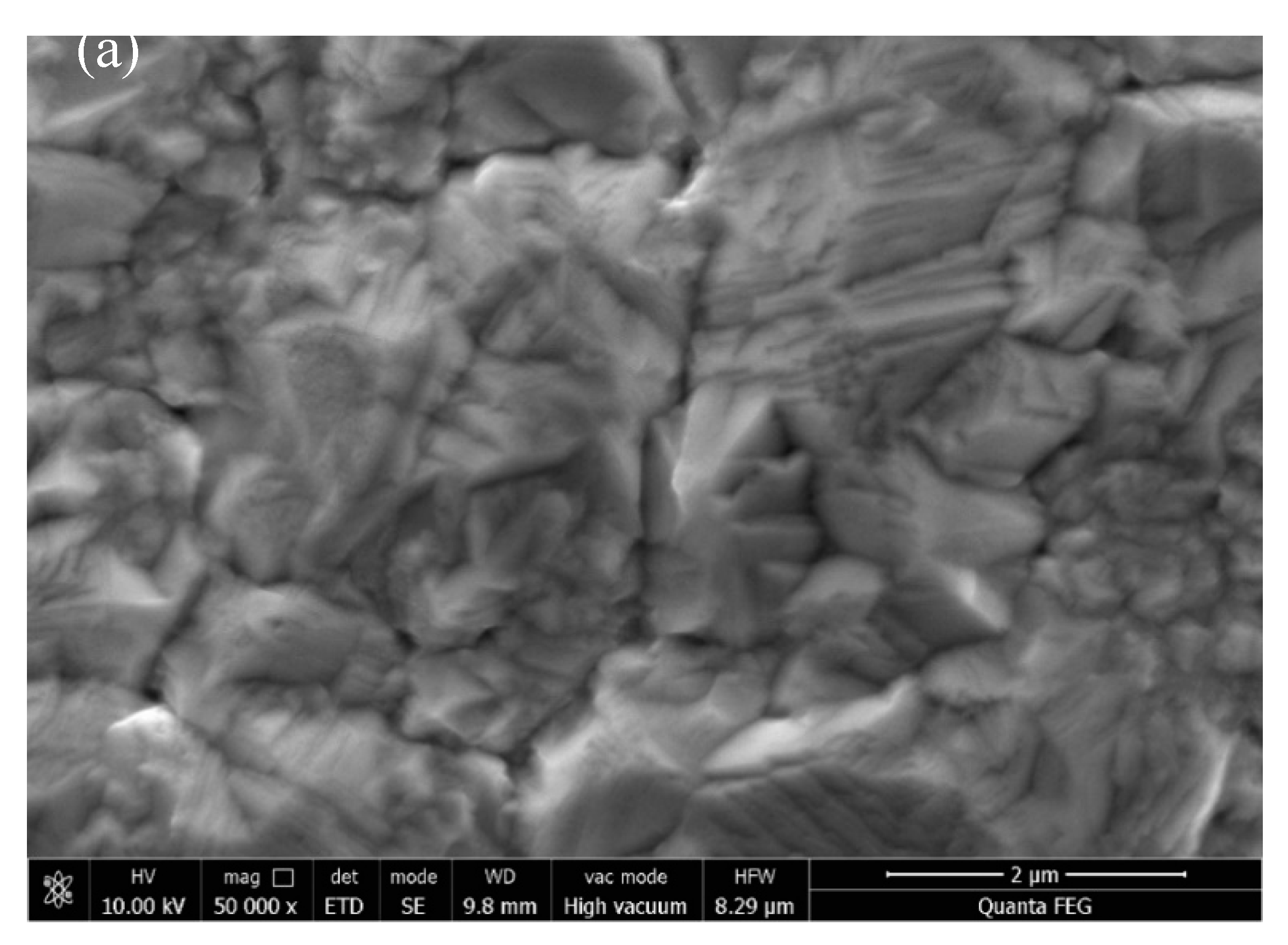 Coatings 11 01068 g006a