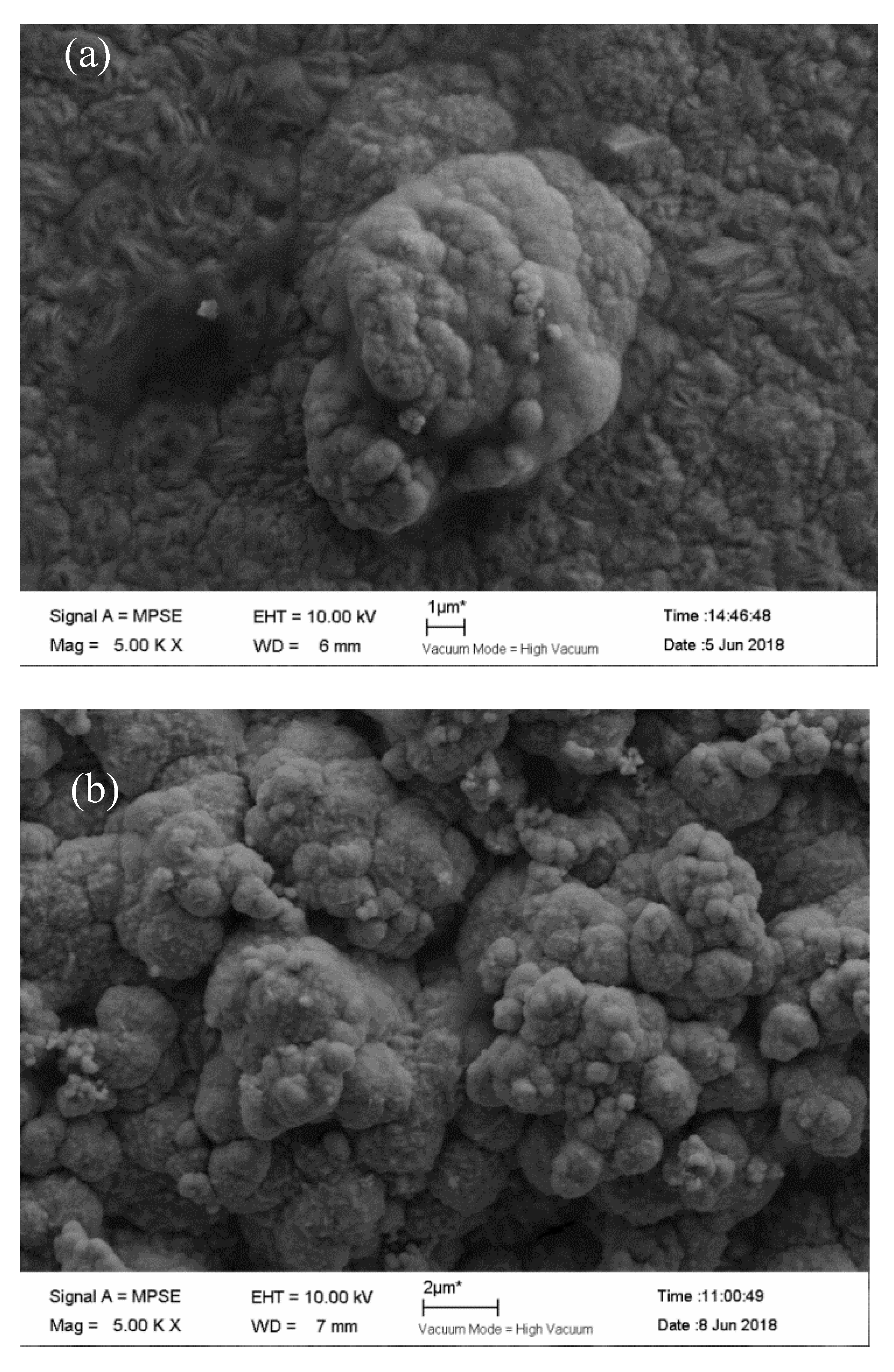 Coatings 11 01068 g007a