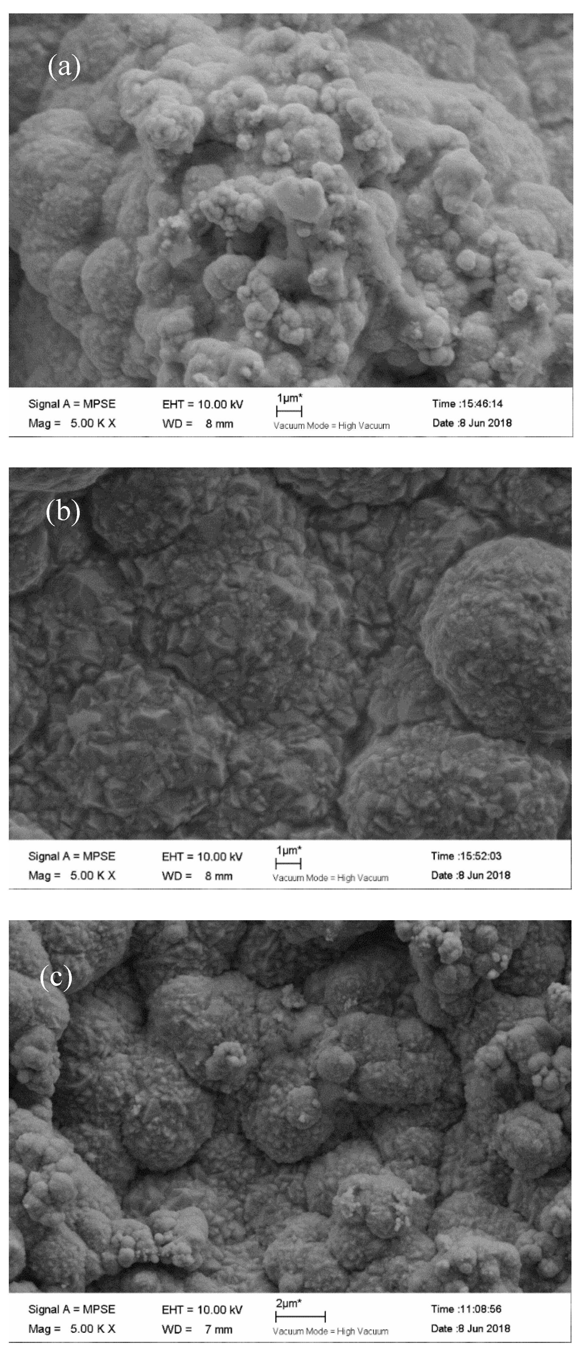 Coatings 11 01068 g008