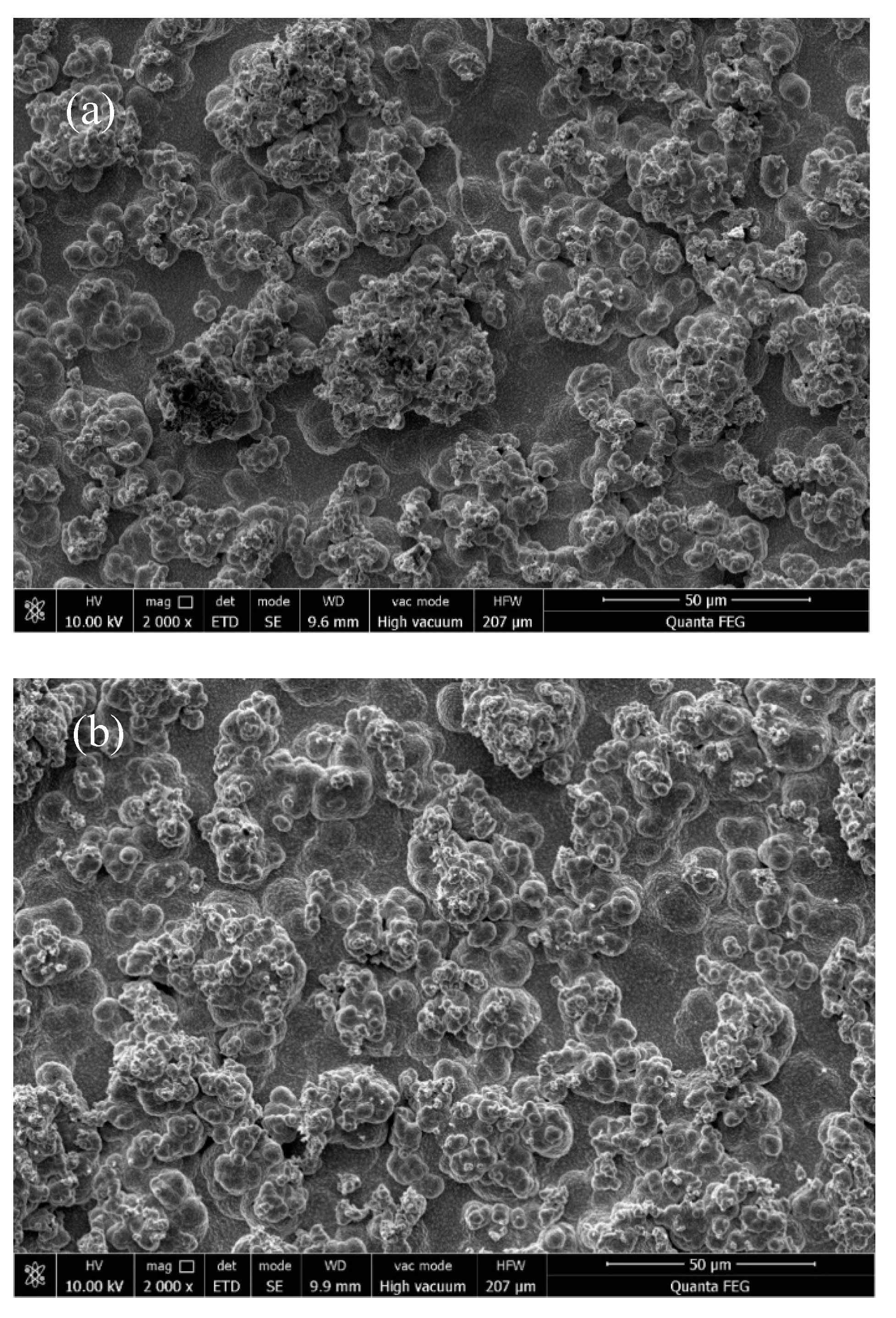 Coatings 11 01068 g009a