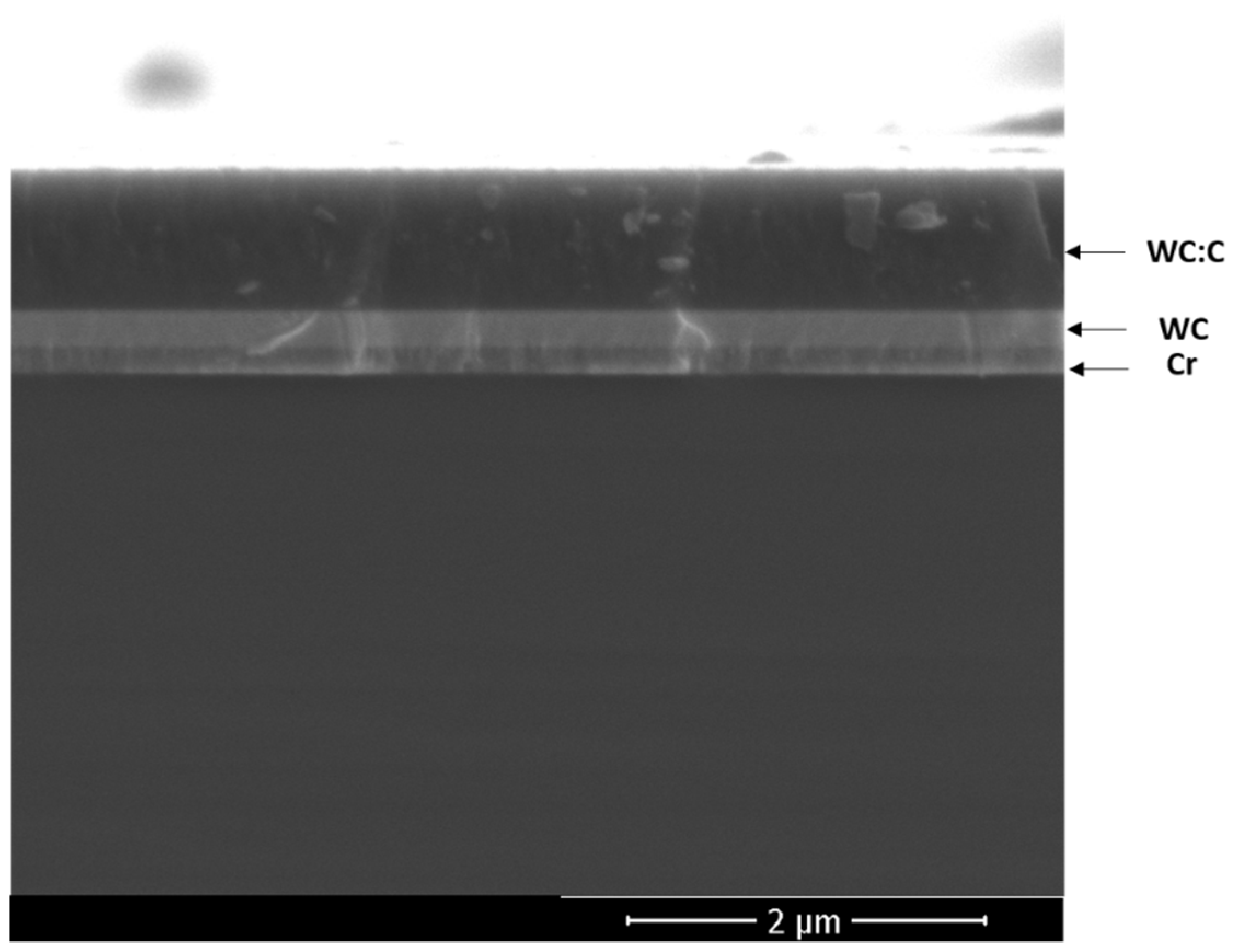 Coatings 11 01070 g003 550