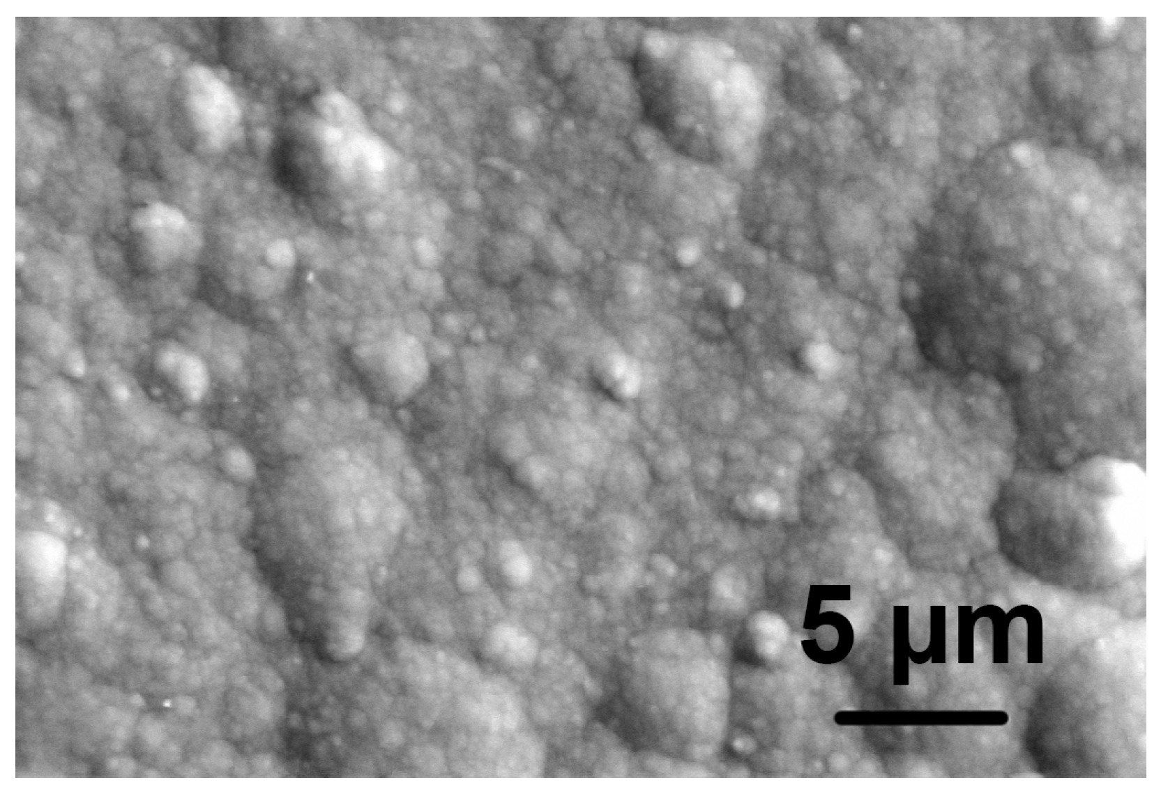 Coatings 11 01071 g001 550