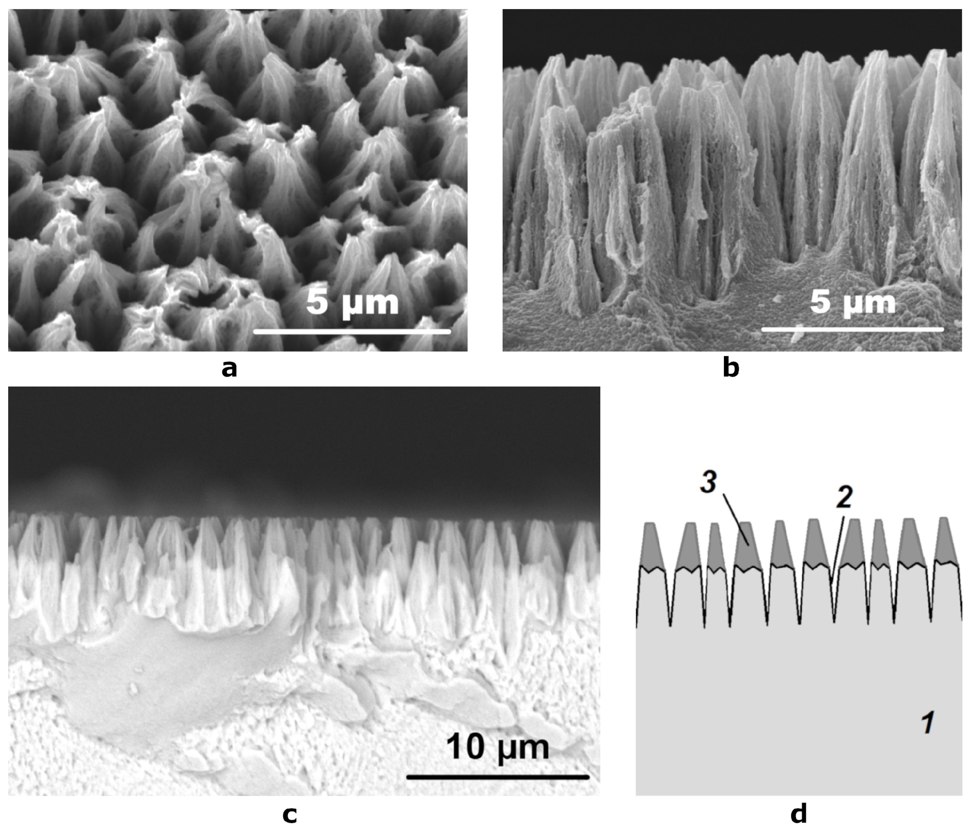Coatings 11 01071 g002 550