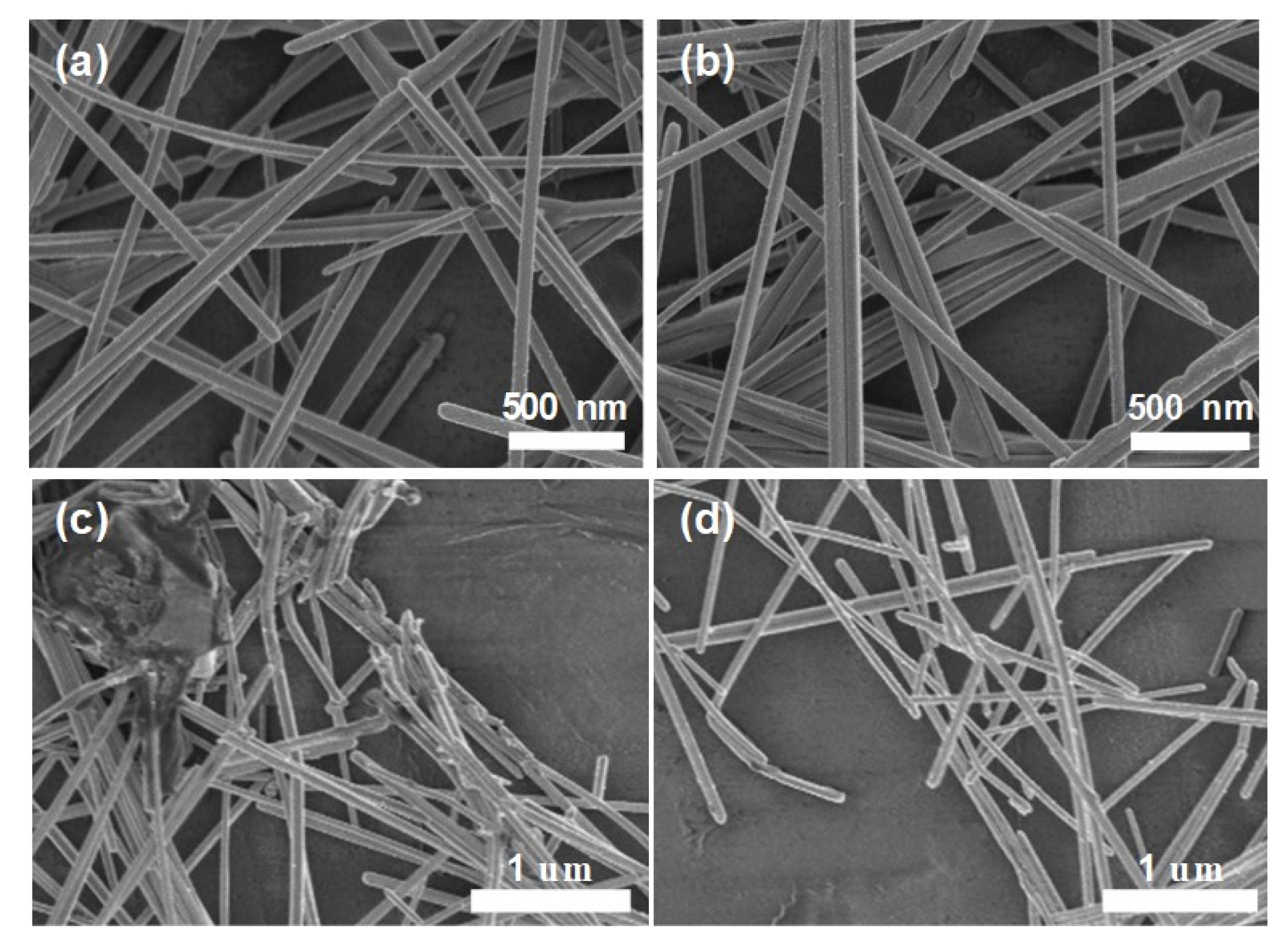 Coatings 11 01074 g002