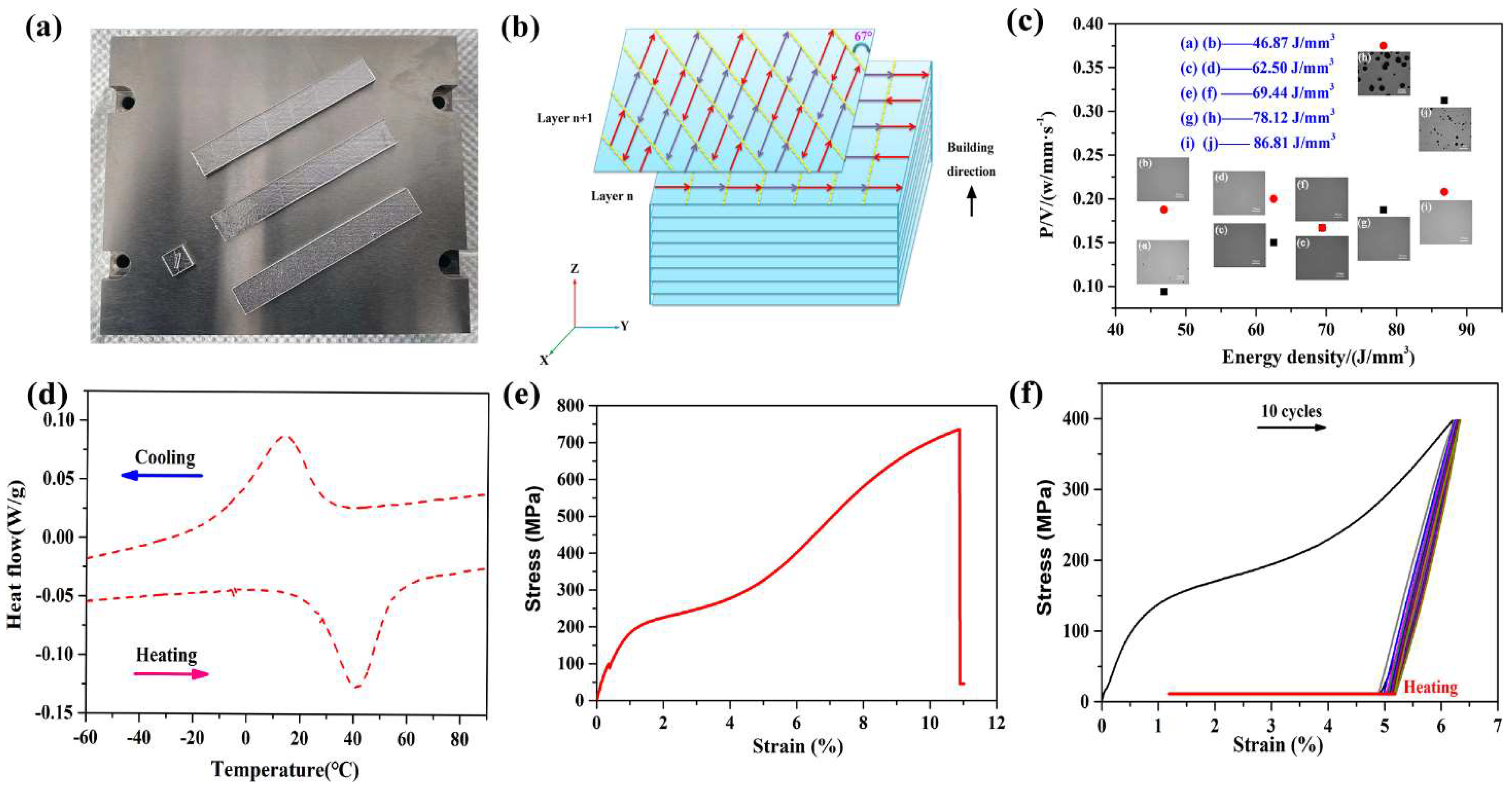 Coatings 11 01078 g001