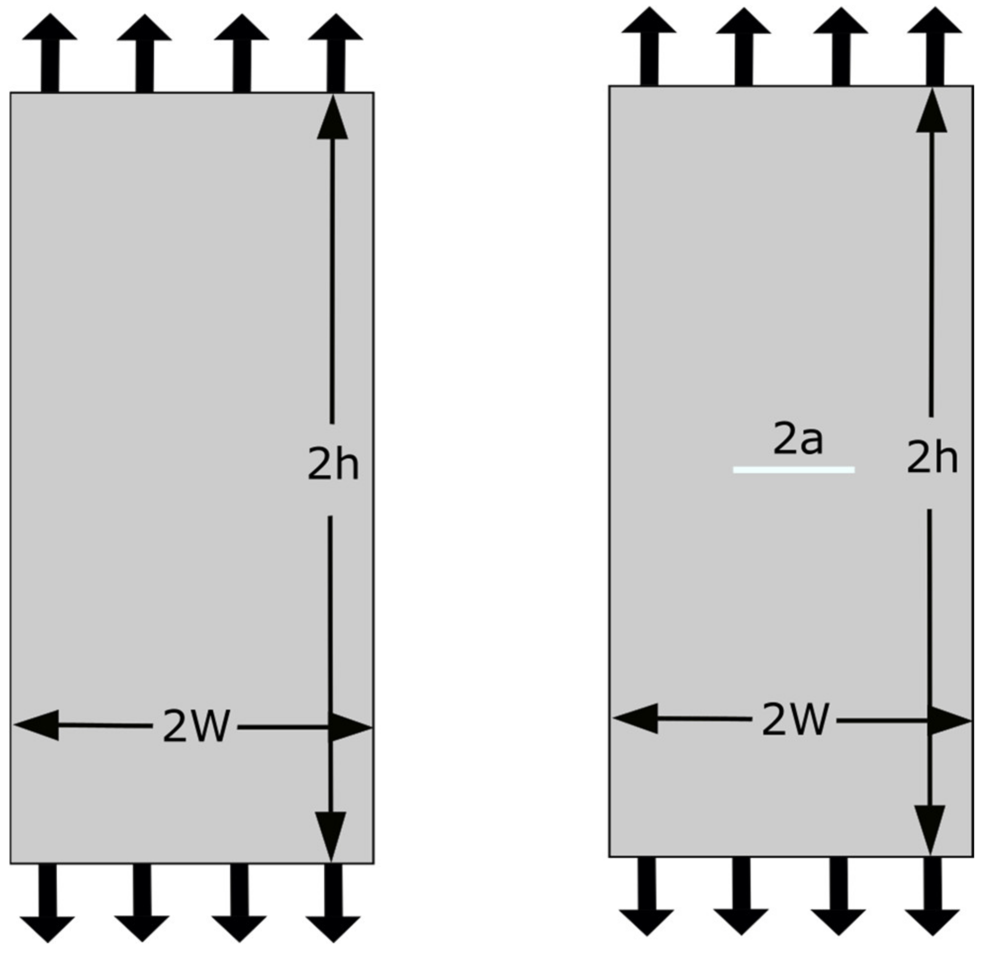 Coatings 11 01079 g005 Coatings 11 01079 g005