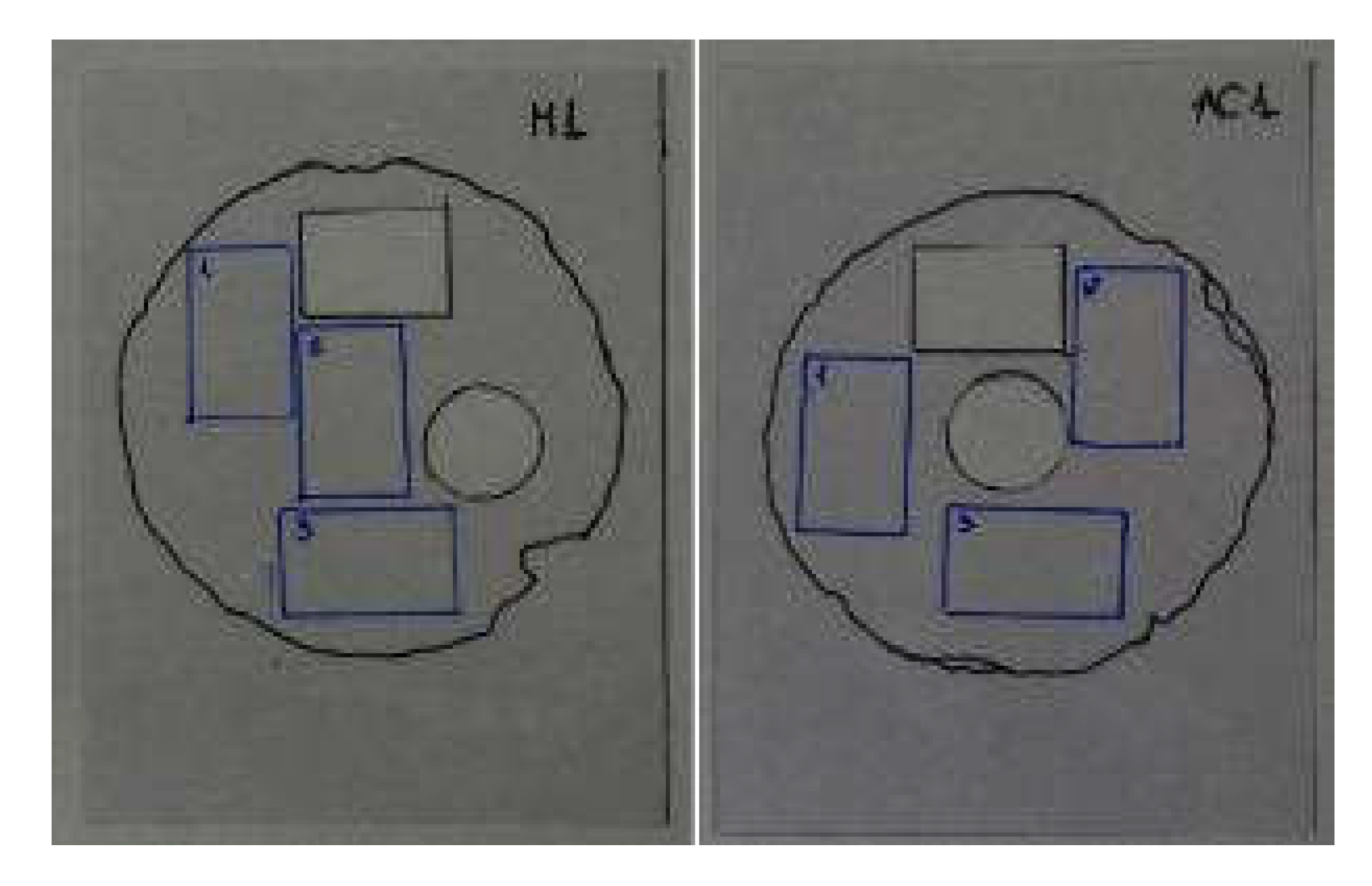 Coatings 11 01083 g002 550