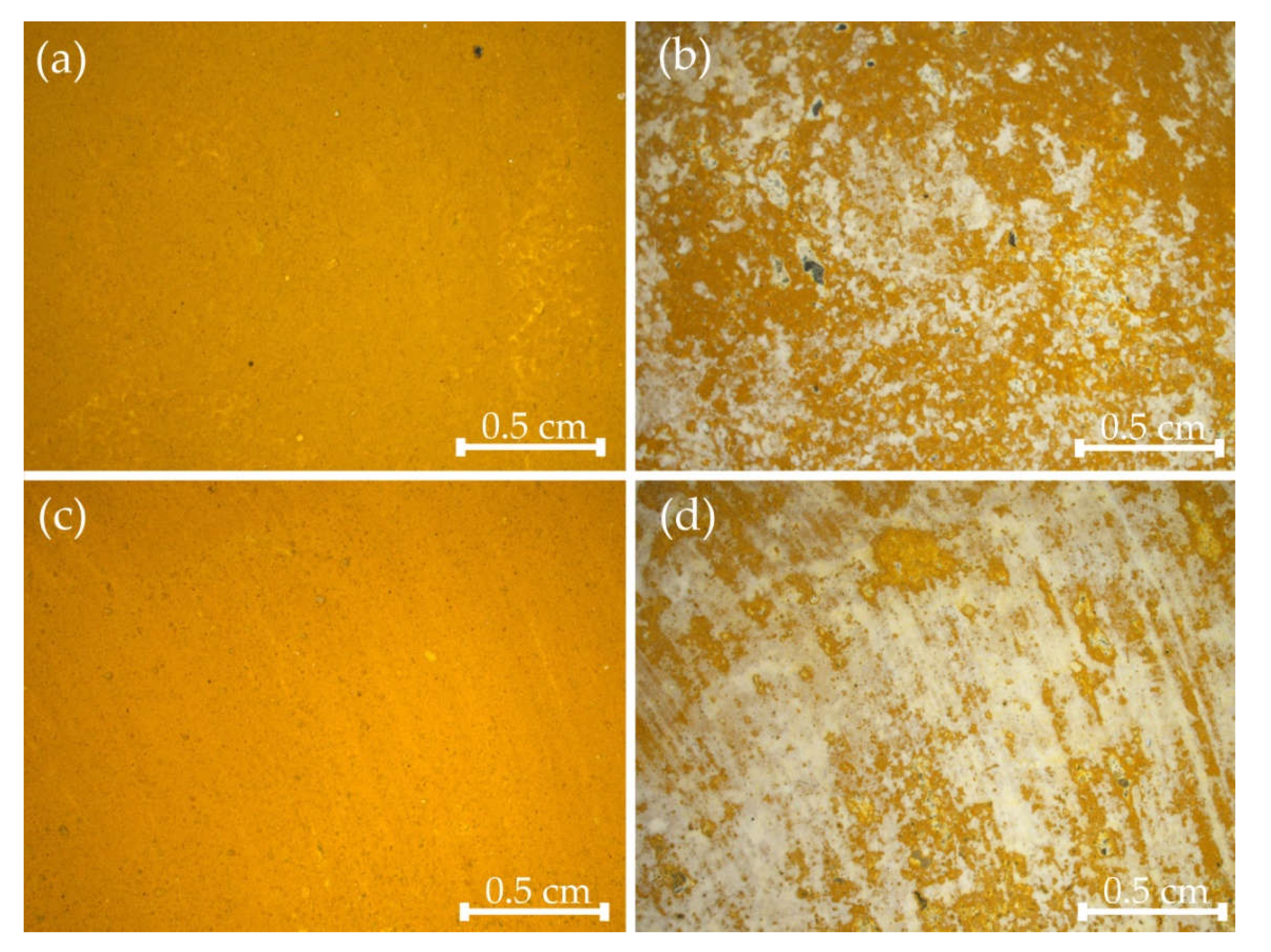 Coatings 11 01083 g004 550