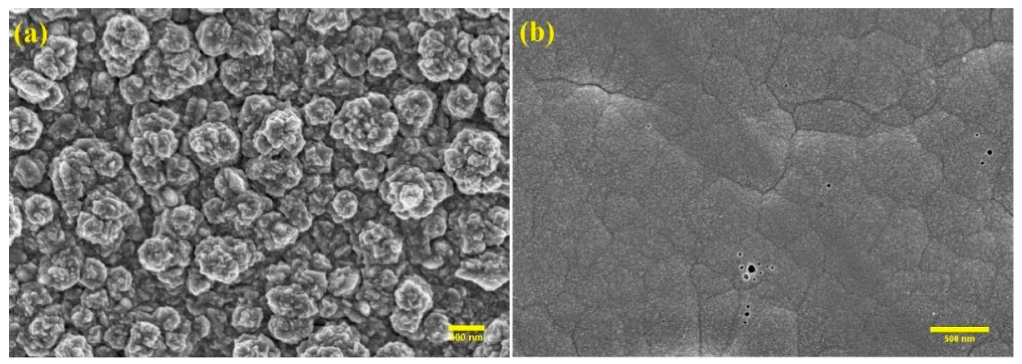 Coatings 11 01084 g002