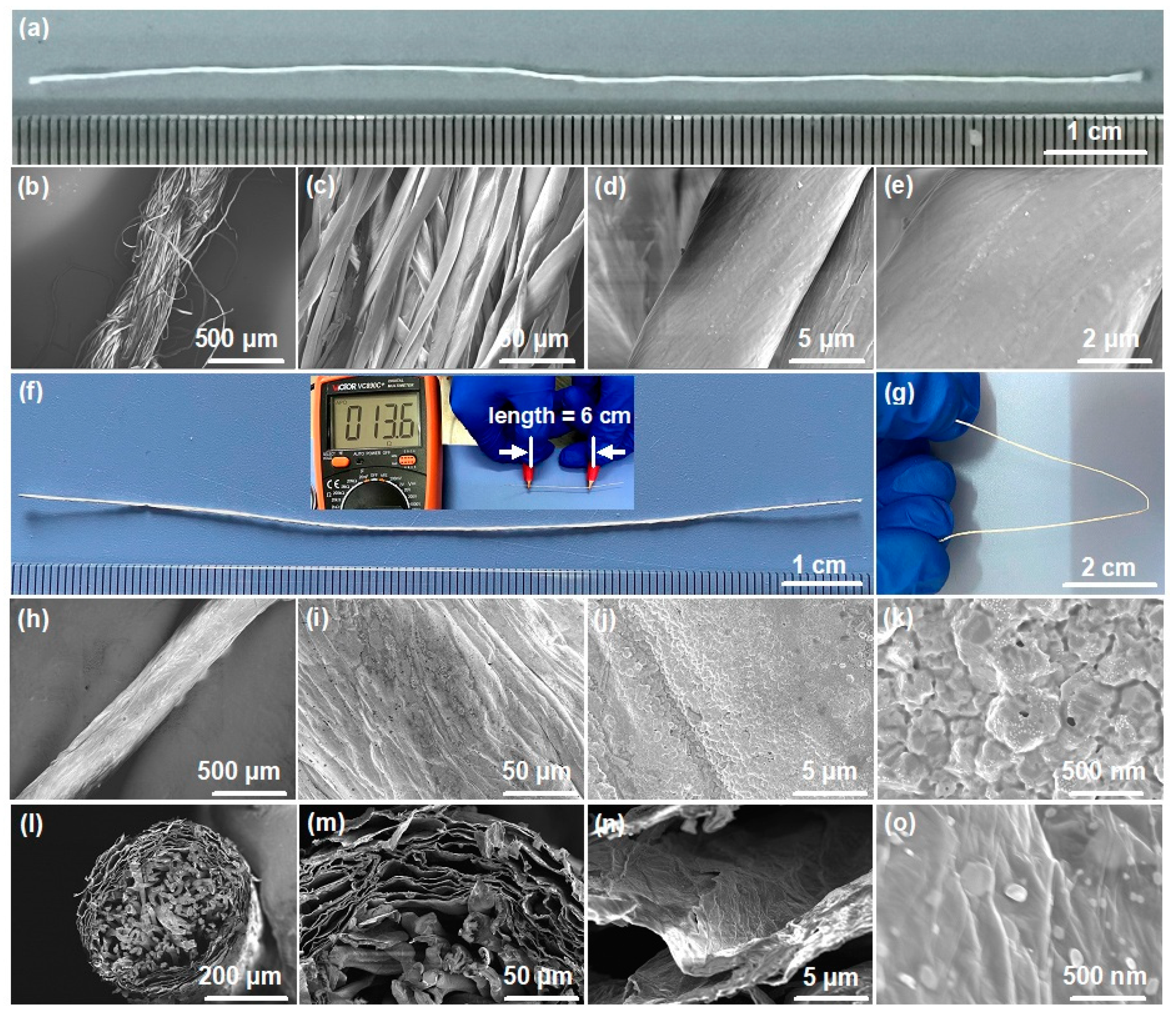 Coatings 11 01086 g003