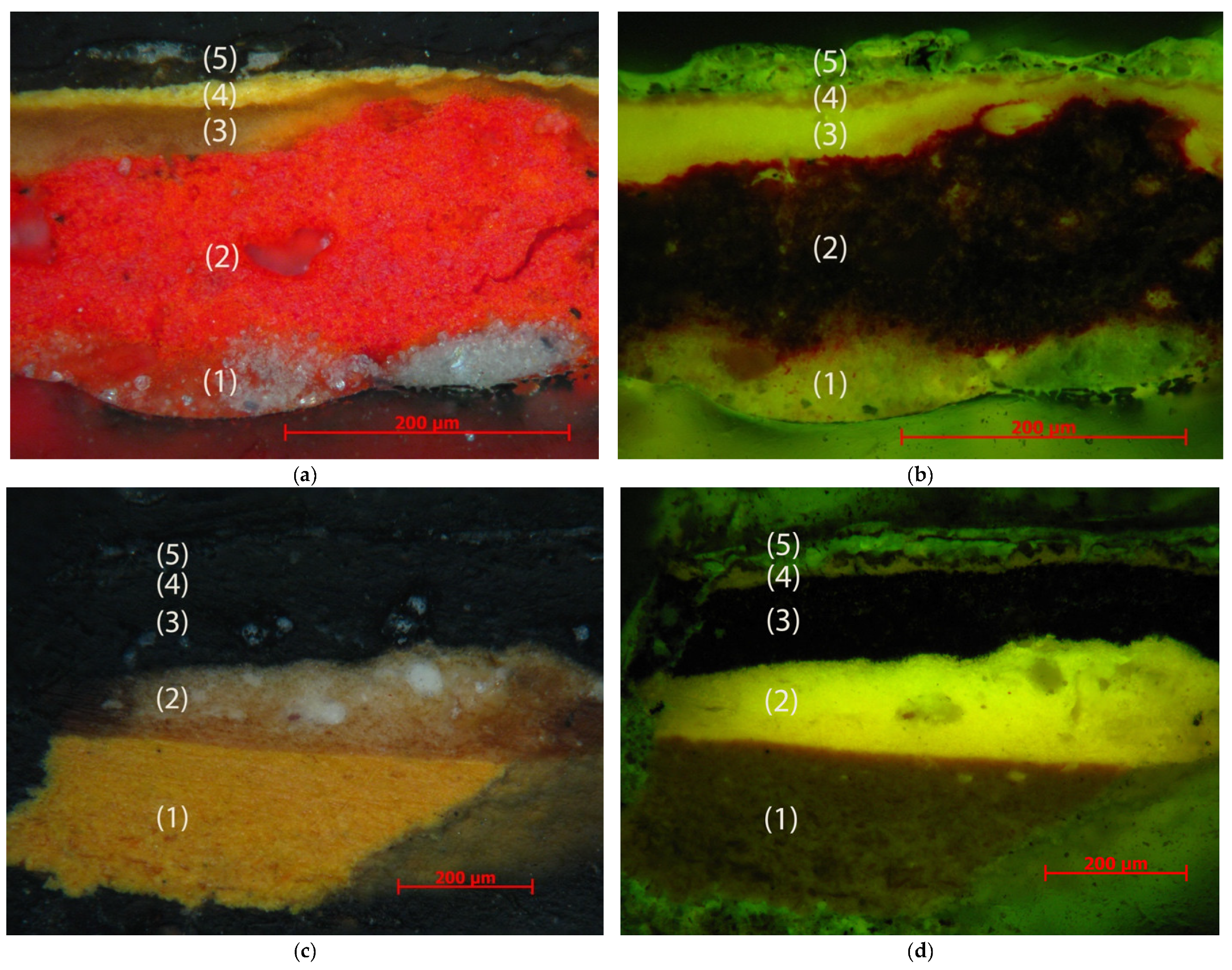 Coatings 11 01087 g002